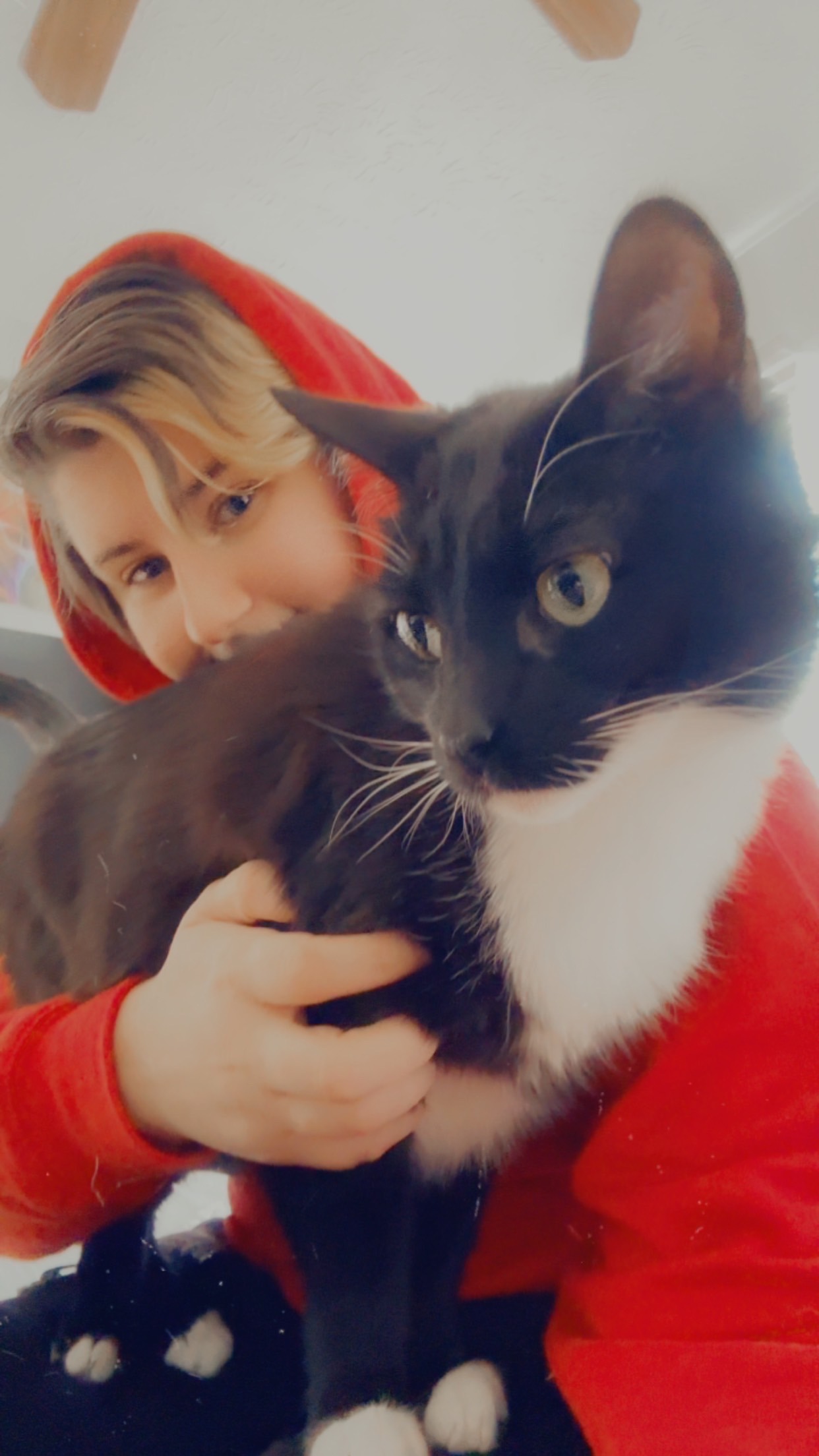 Help Loki Get Urgent Dental and Eye Care campaign photo, 2 of 7