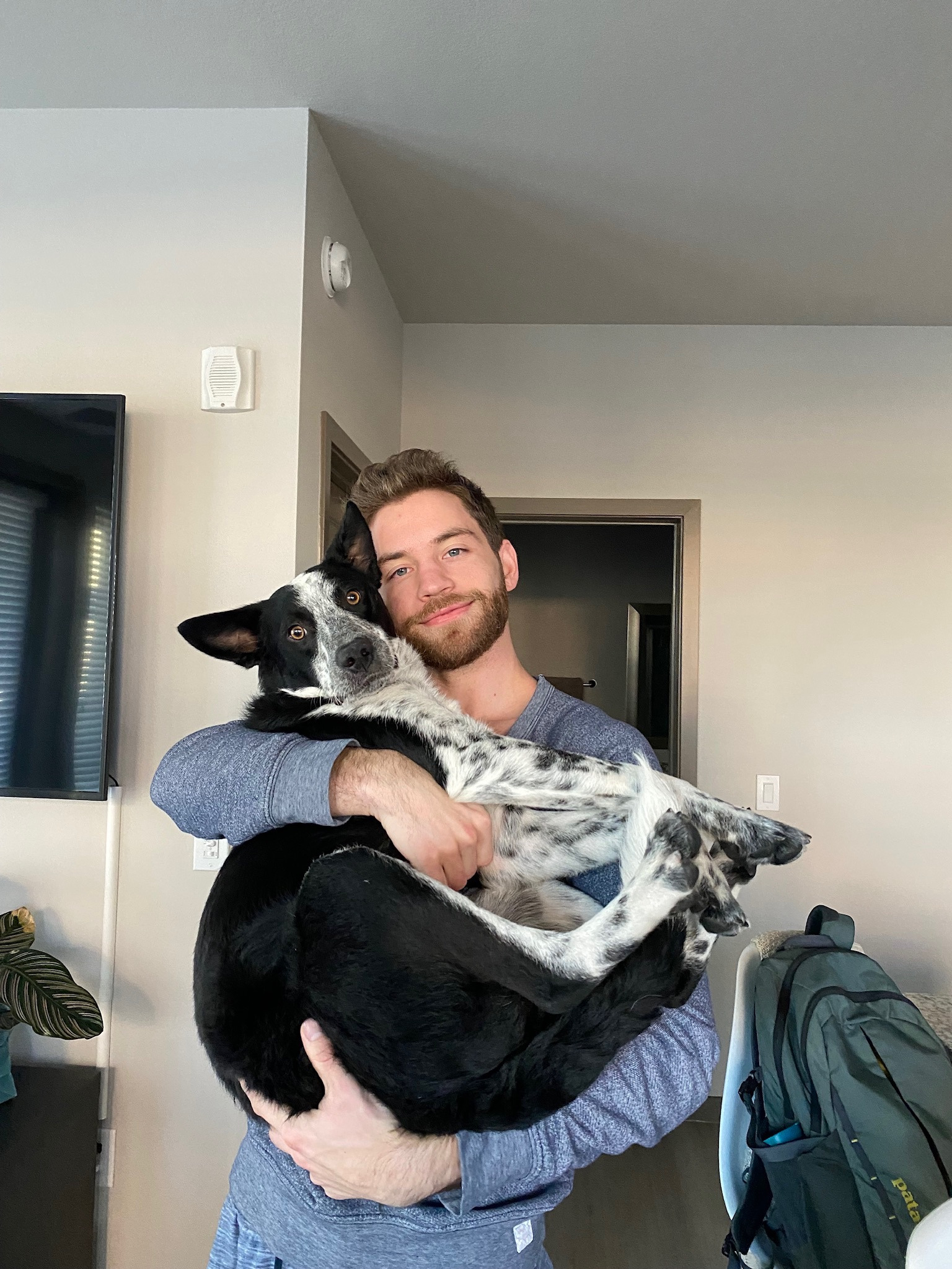 Help Lenny Fight Lymphoma with Chemotherapy campaign photo, 2 of 8
