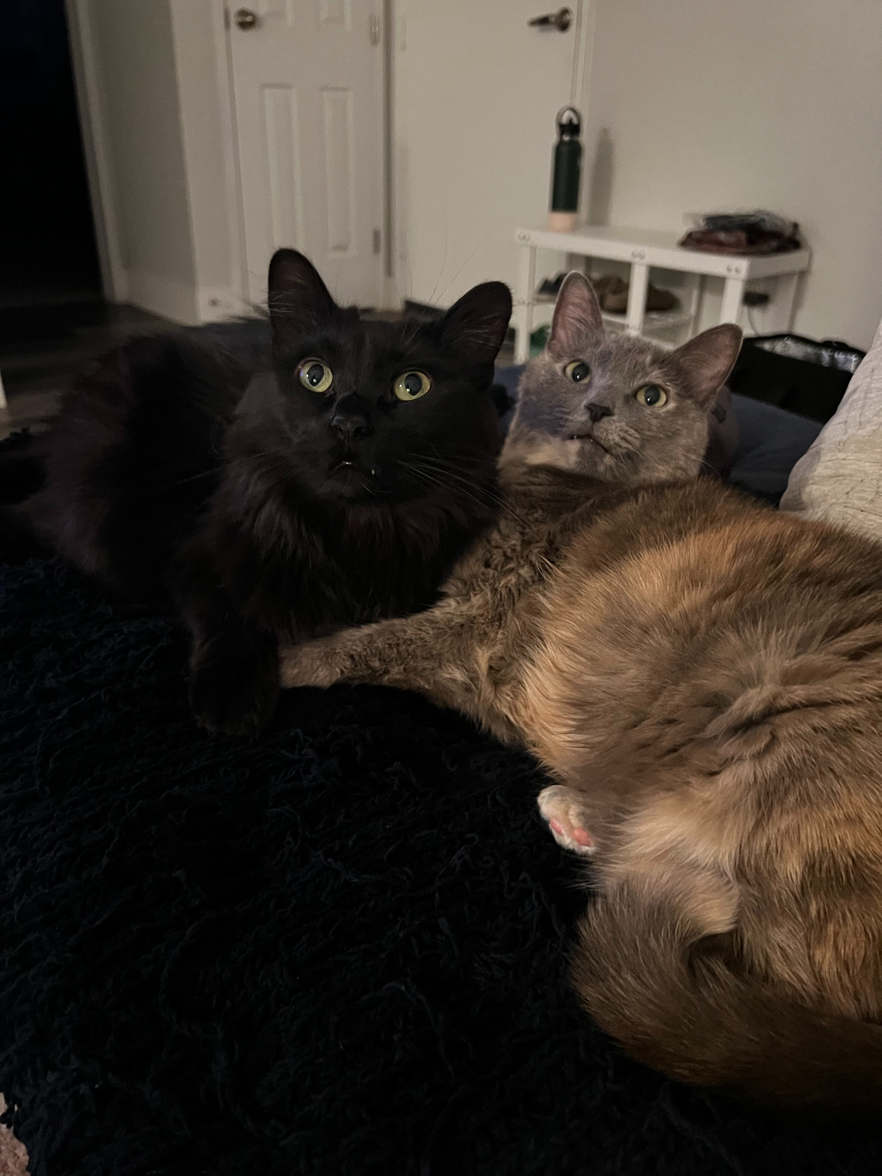 Help Viktor Get Life-Saving Surgery campaign photo, 2 of 8