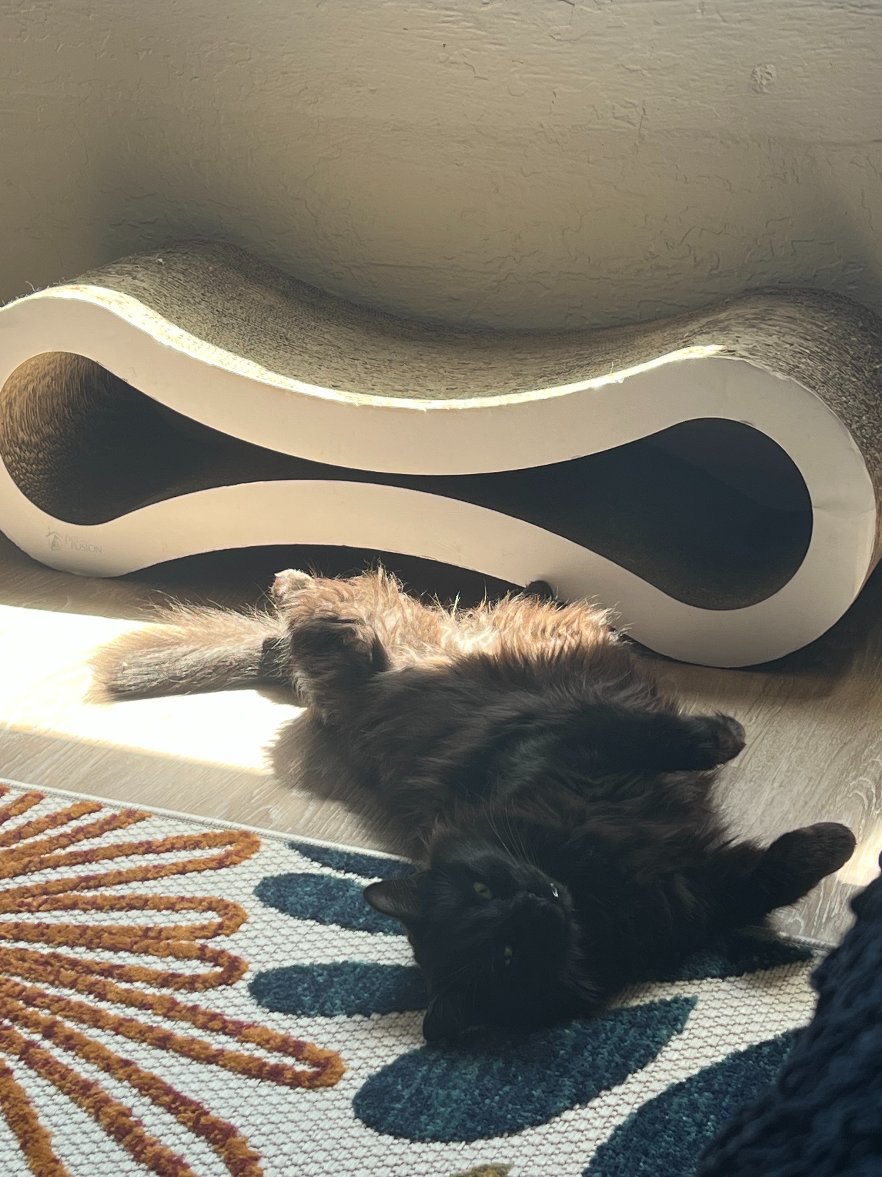 Help Viktor Get Life-Saving Surgery campaign photo, 4 of 8