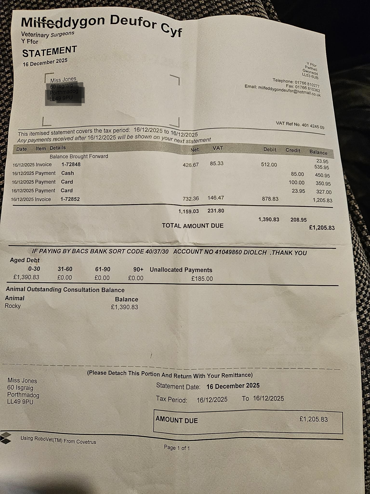 Help roxy pay for Rocky's vet bill campaign photo, 4 of 5