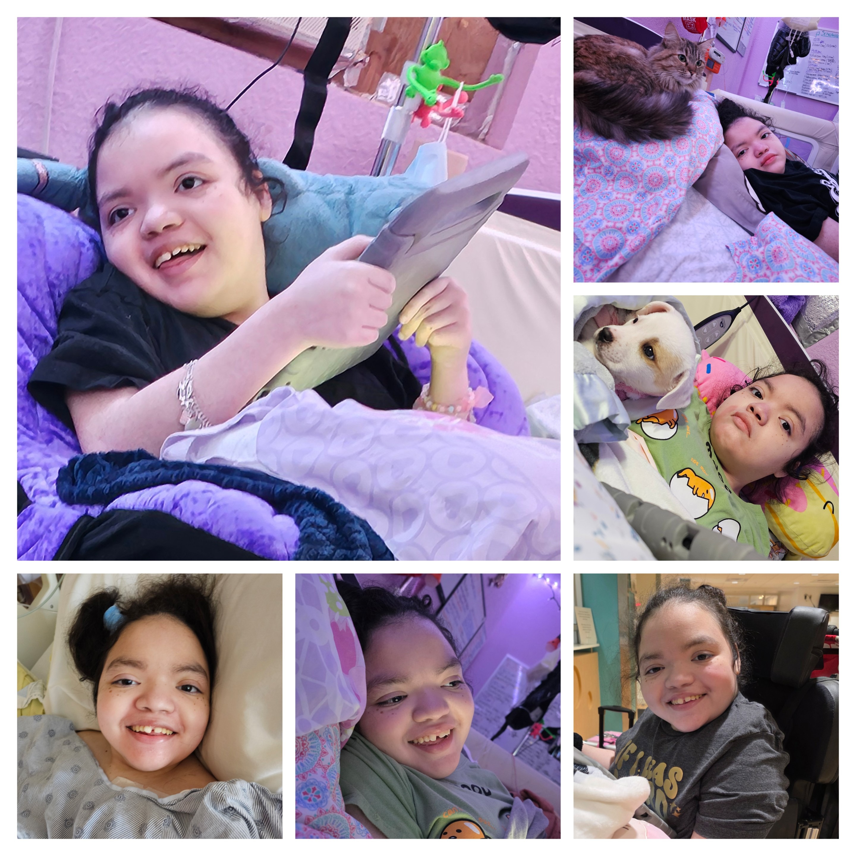 Help Celebrate Hayley’s Life & Support Our Mom campaign photo, 2 of 8