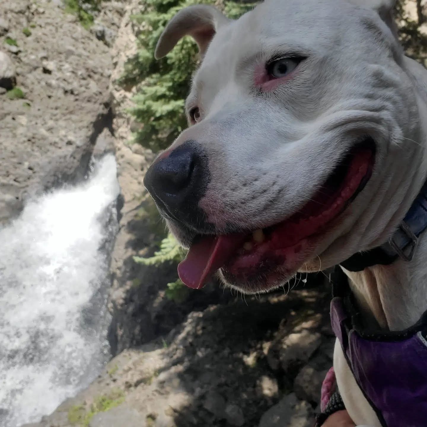 Help Kali With Her Carcinoma Treatment campaign photo, 4 of 8