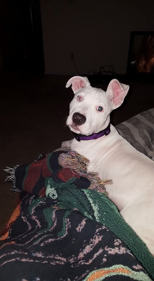 Help Kali With Her Carcinoma Treatment campaign photo, 5 of 8