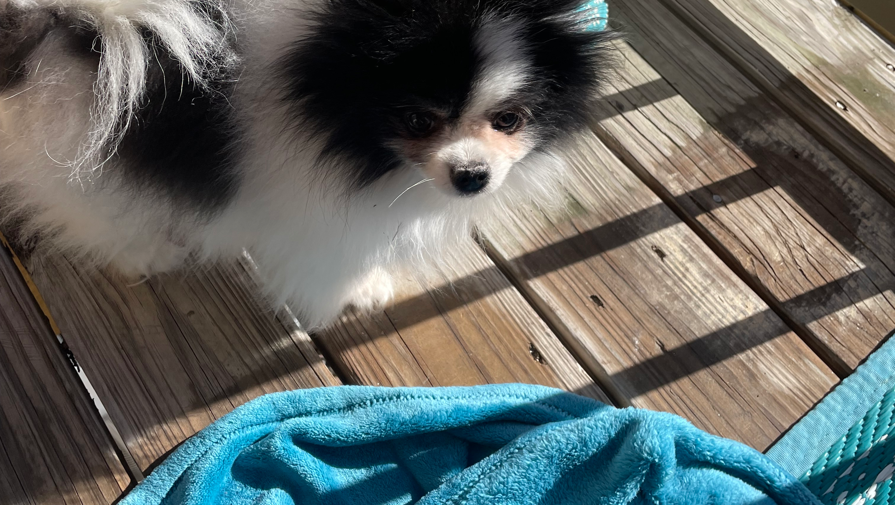 Urgent Help Needed for Shelter and Food photo
