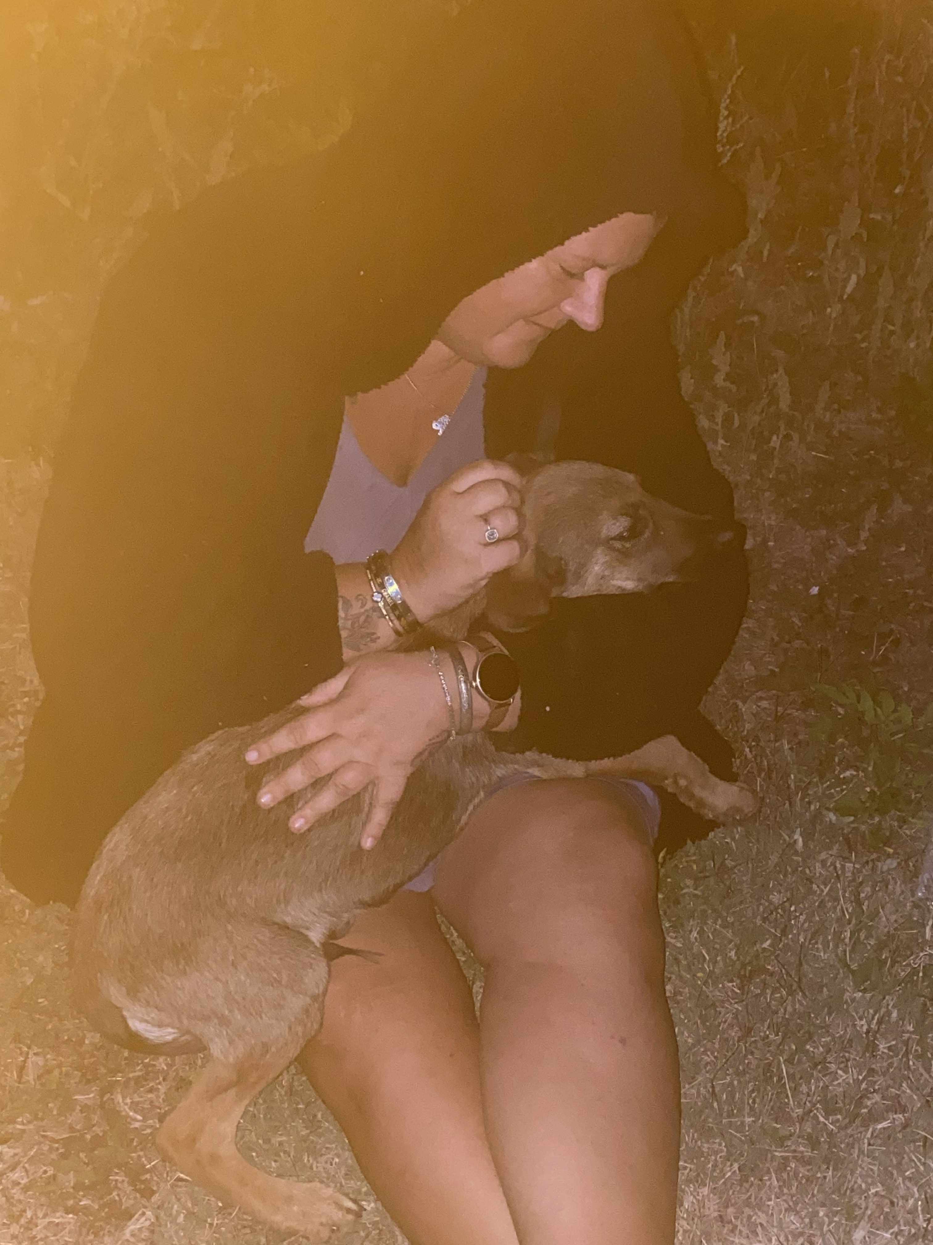 Kathleen’s Paws Prevention Fund – Veliko Tarnovo campaign photo, 2 of 8
