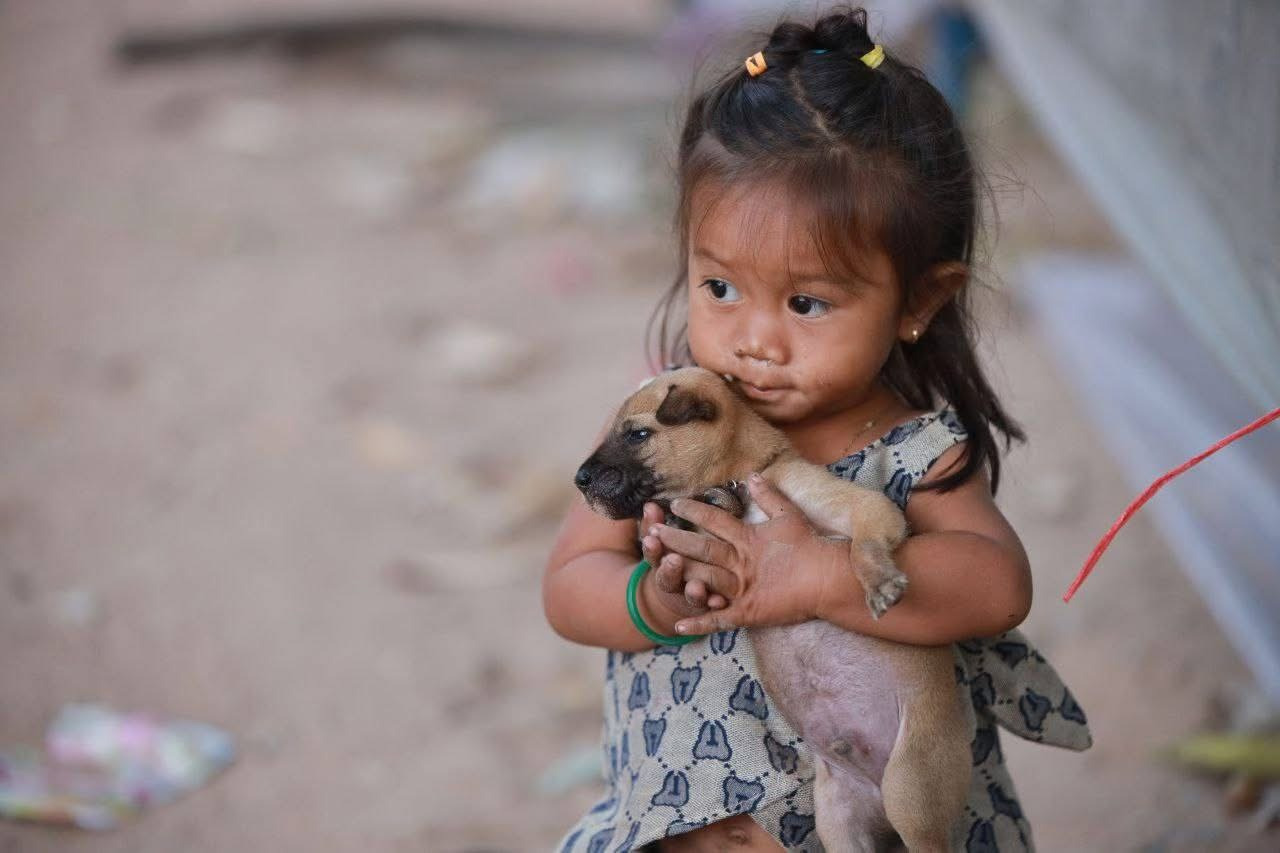 Urgent Aid for Displaced Cambodian Families campaign photo, 6 of 7