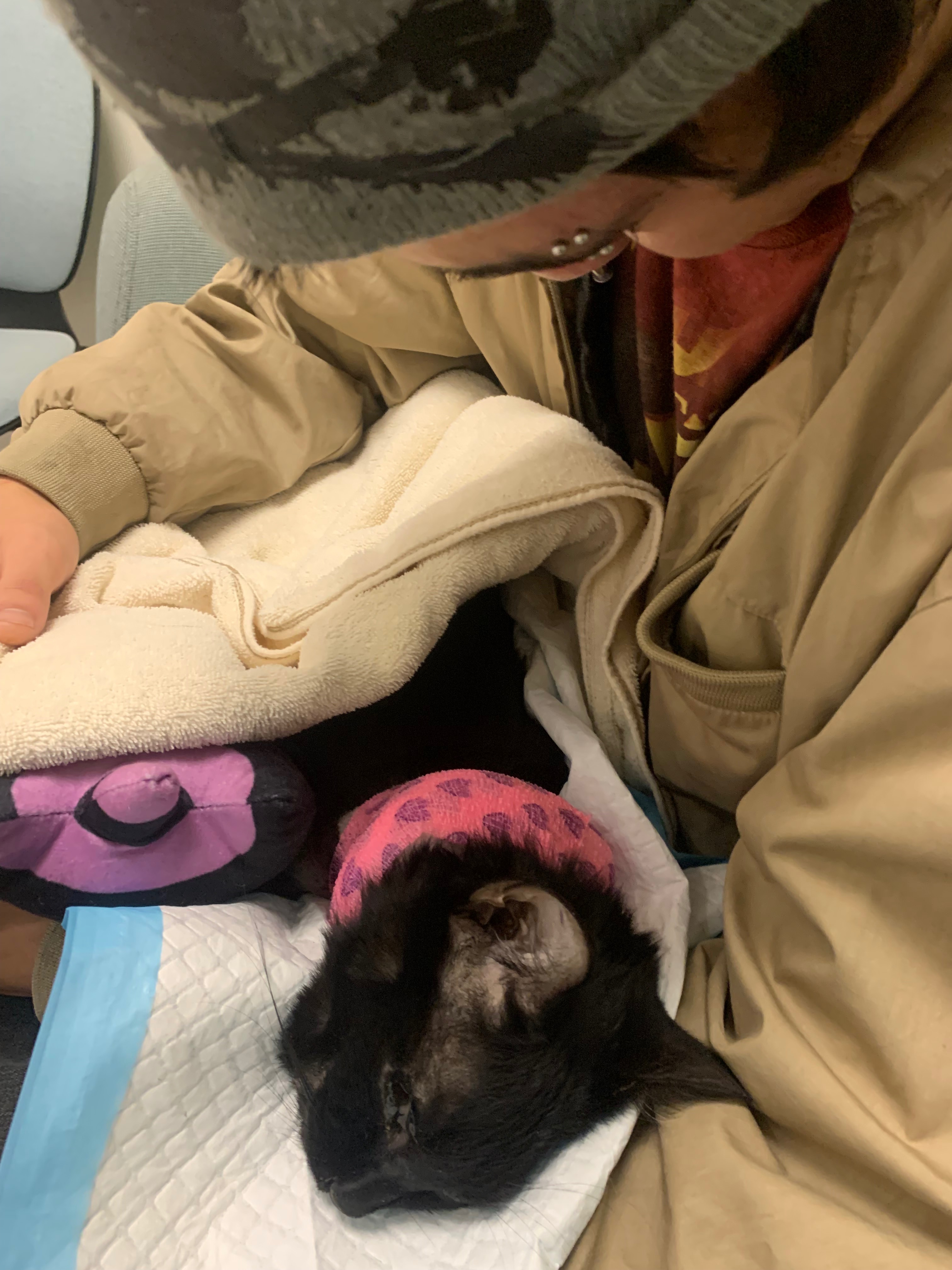 Support Paying Fright’s medical bills campaign photo, 5 of 6