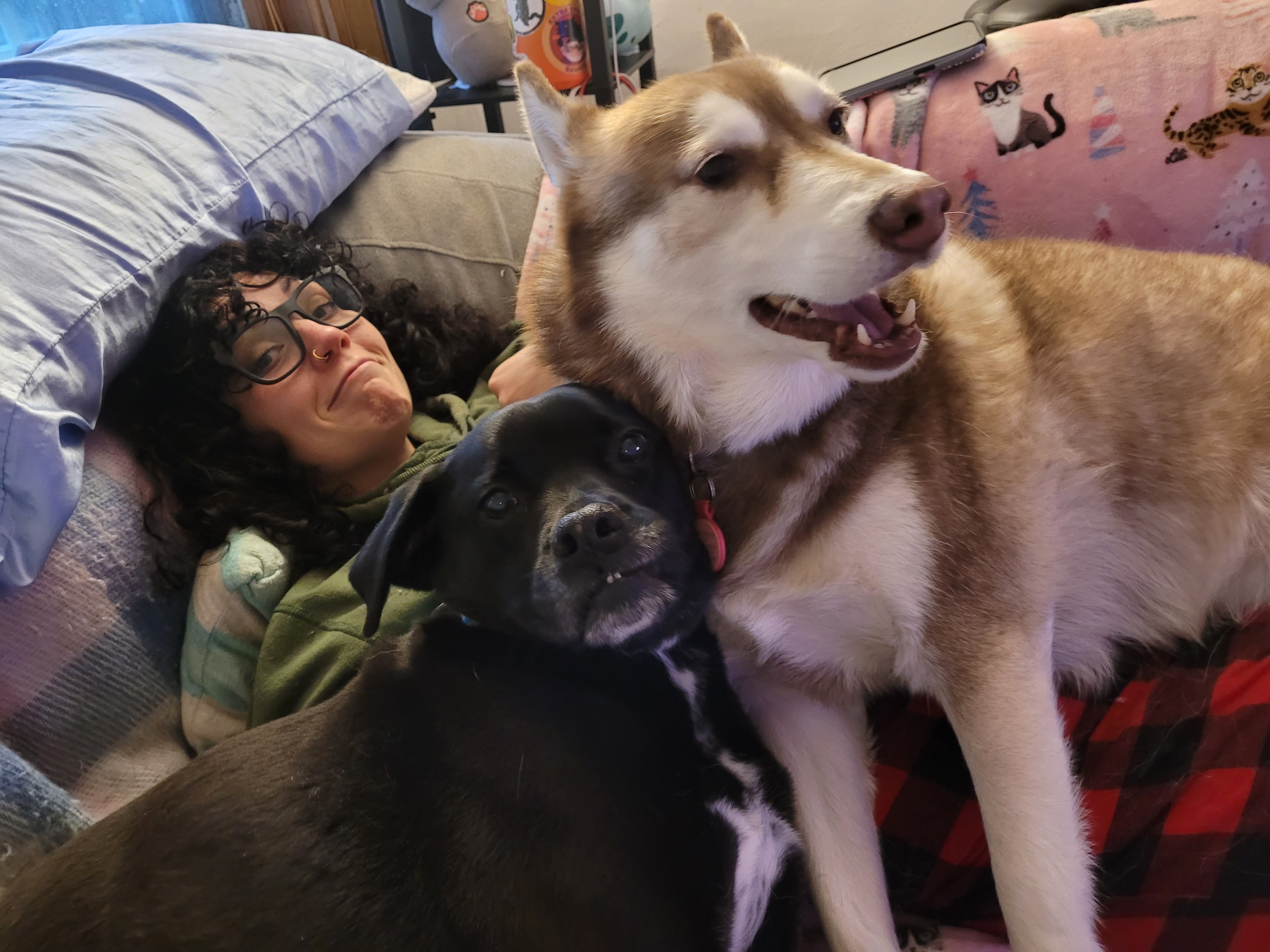 Medical Alert Dog Training Fund for Merry and Keyleth! campaign photo, 4 of 7
