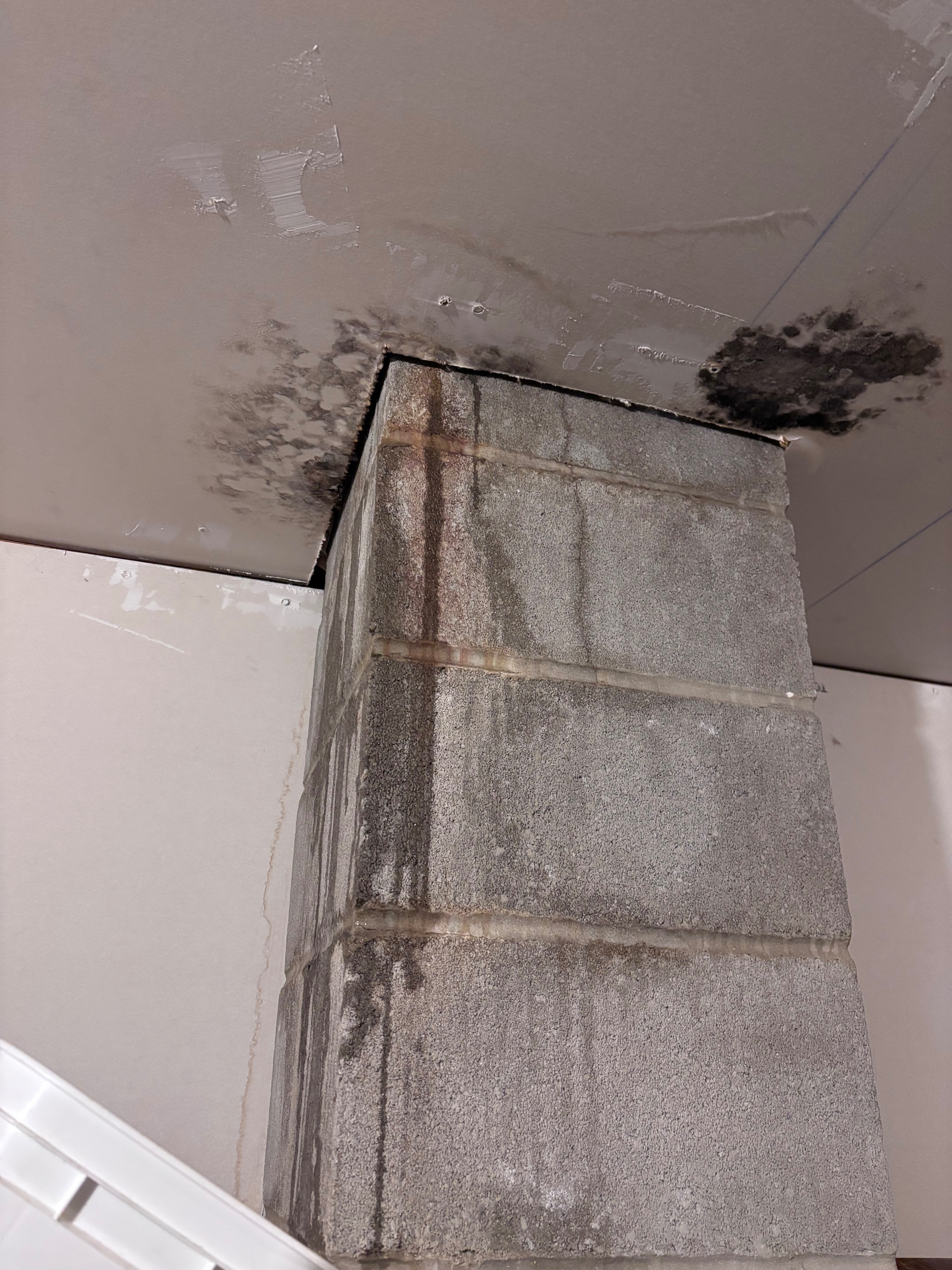 Window, chimney & roof replacement needed campaign photo, 4 of 8