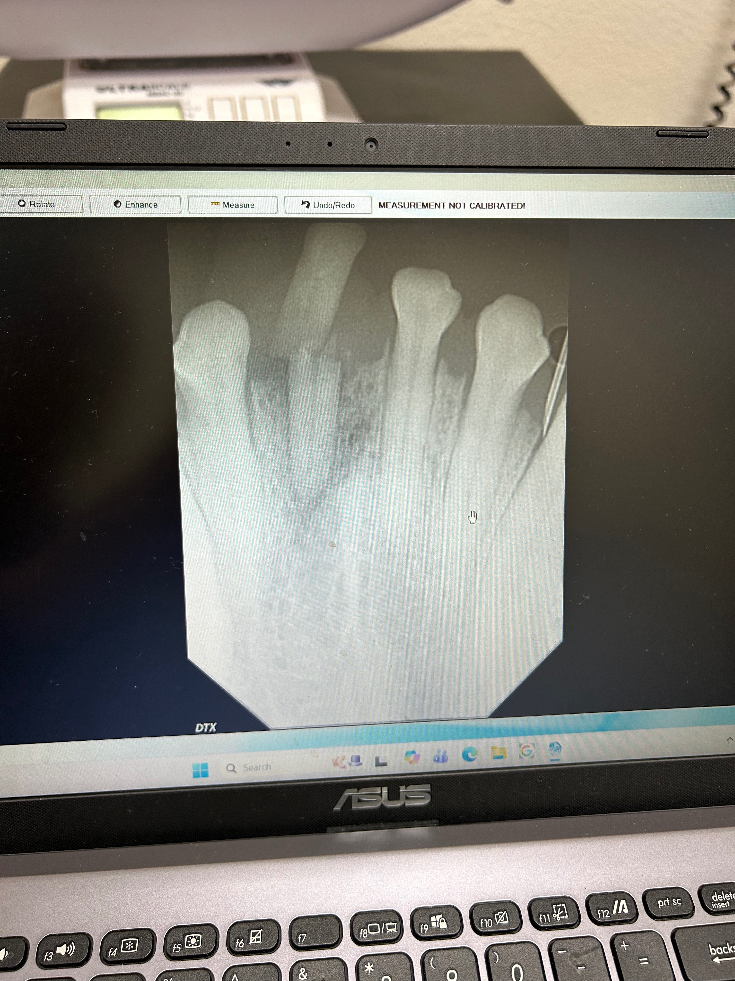 Support Medusa’s Recovery from Dental Surgery campaign photo, 4 of 5