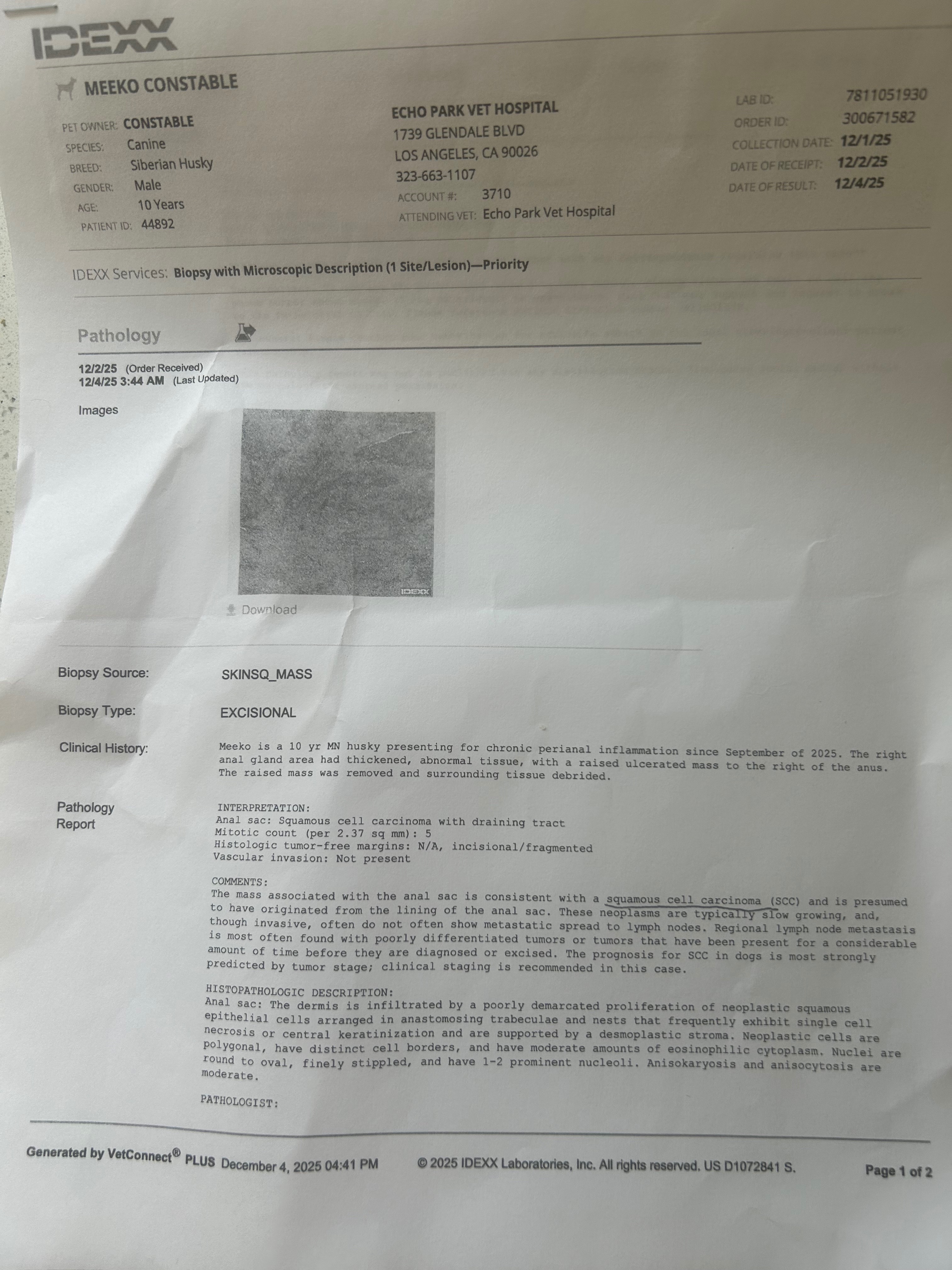 Help Save Meeko Leloo’s Life campaign photo, 7 of 8