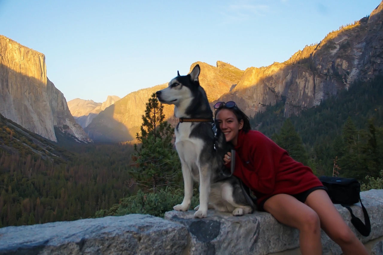 Help Save Meeko Leloo’s Life campaign photo, 2 of 8