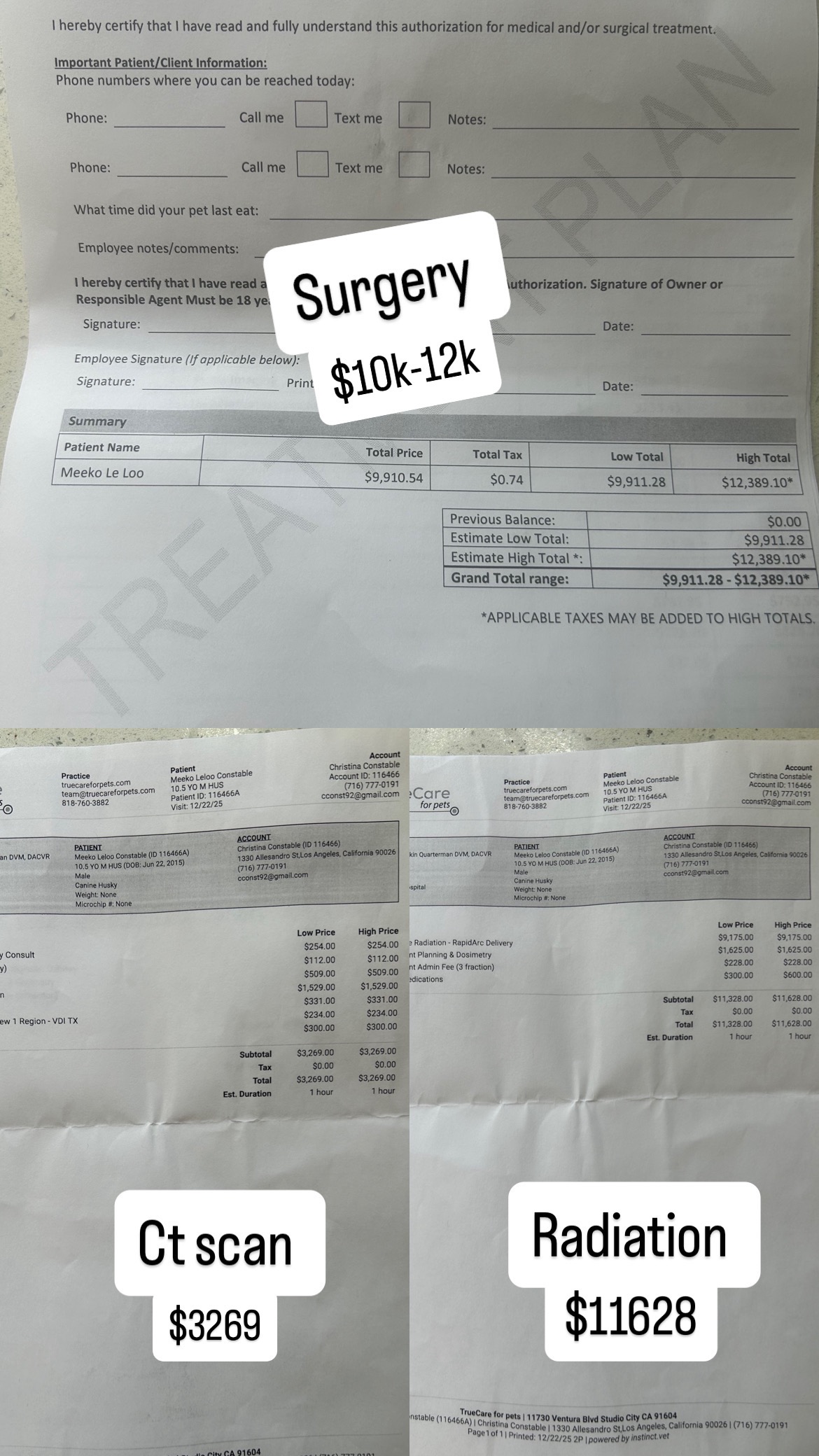 Help Save Meeko Leloo’s Life campaign photo, 6 of 8