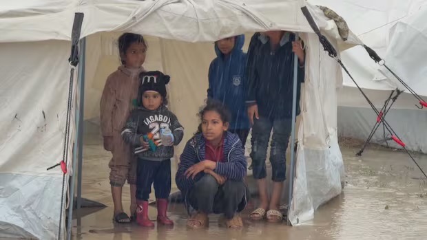 Help Provide Food, Warmth & Shelter in Gaza campaign photo, 4 of 4