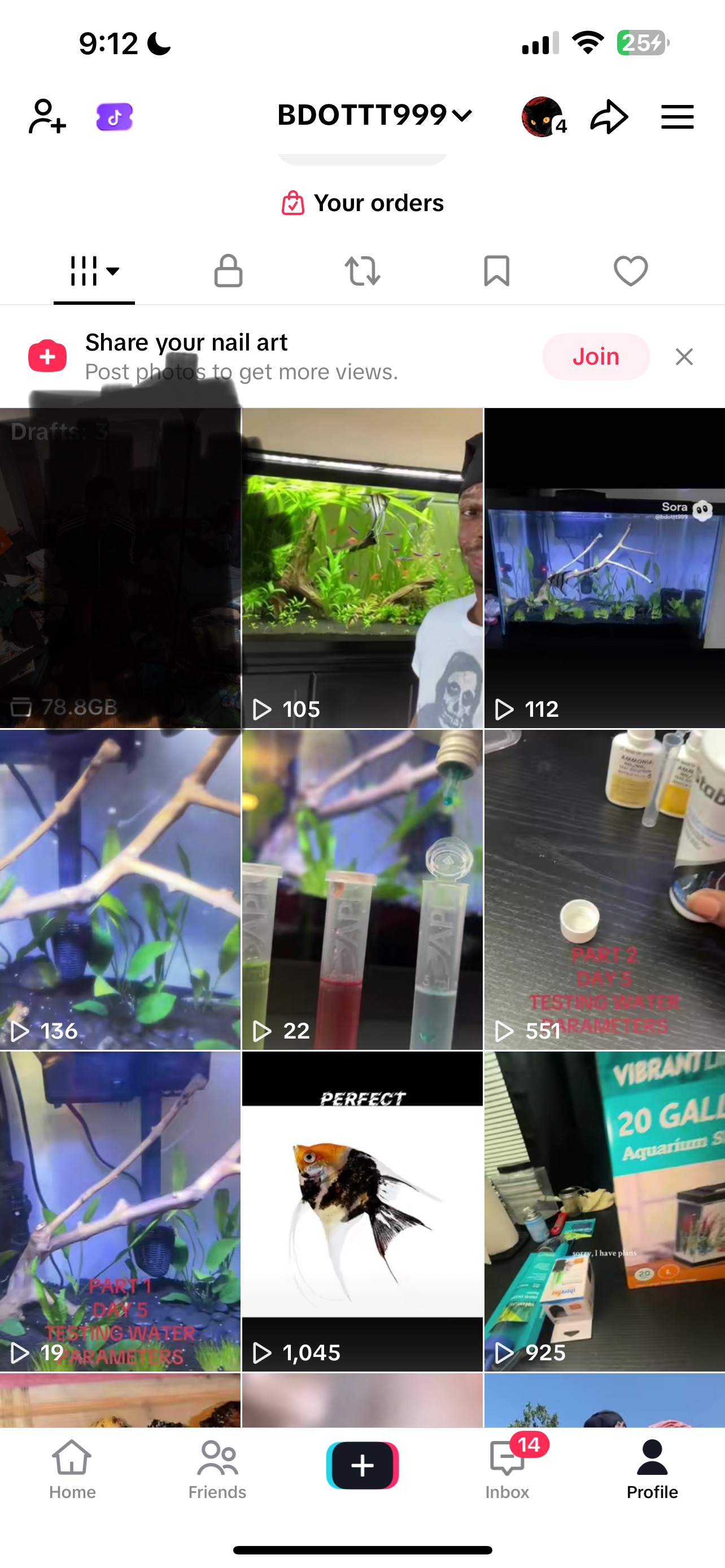 Help Us Grow Our Family Aquarium Dream campaign photo, 2 of 8