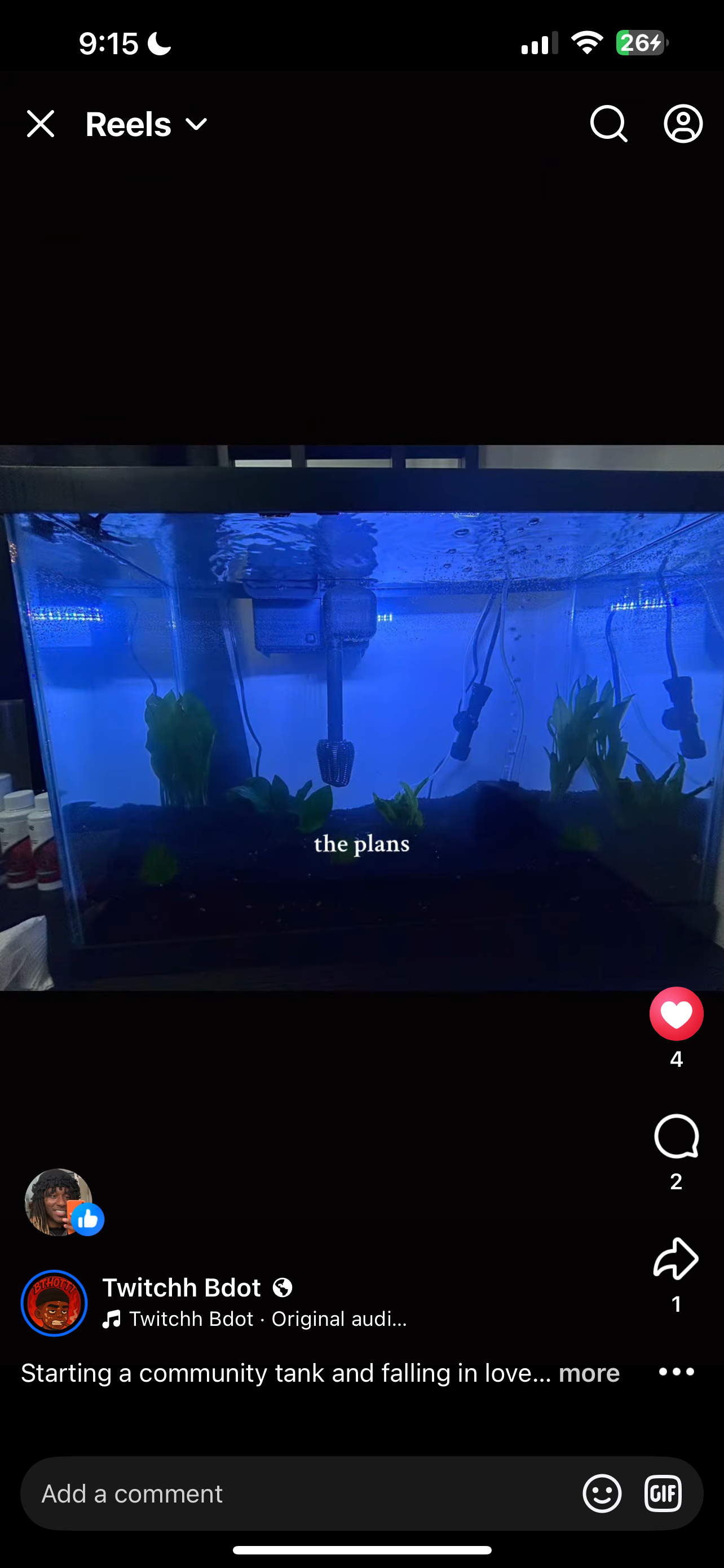Help Us Grow Our Family Aquarium Dream campaign photo, 4 of 8