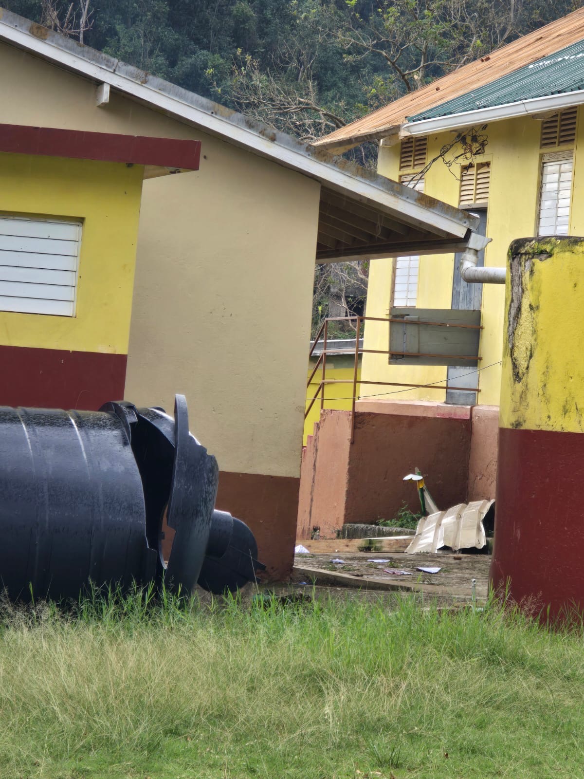 Roses Valley Primary School St Elizabeth restoration support campaign photo, 6 of 7
