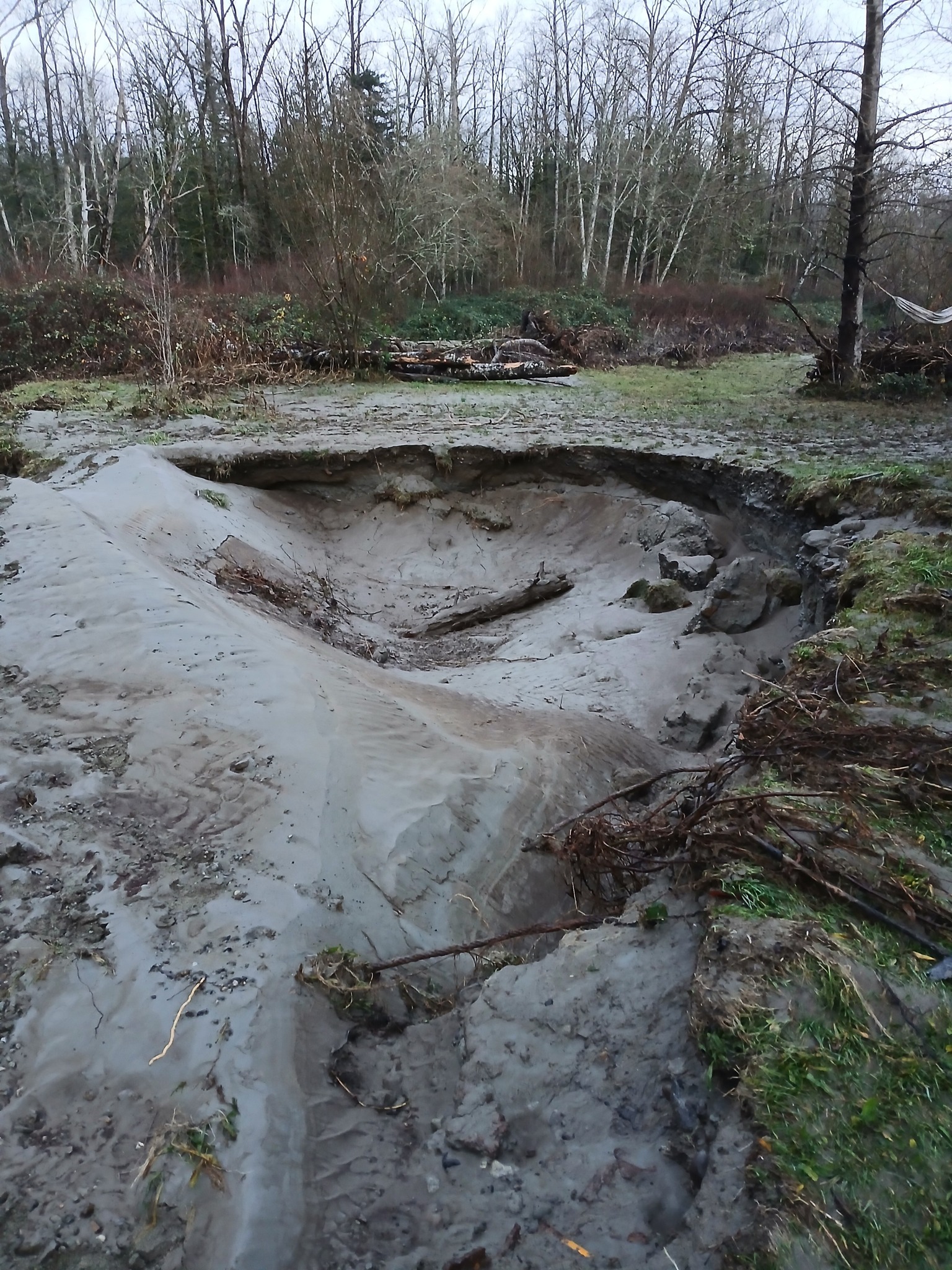 Rebuild Dragonfen Farm After December Flooding campaign photo, 6 of 7