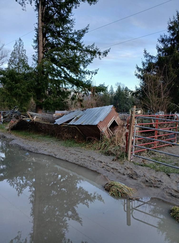 Rebuild Dragonfen Farm After December Flooding campaign photo, 4 of 7