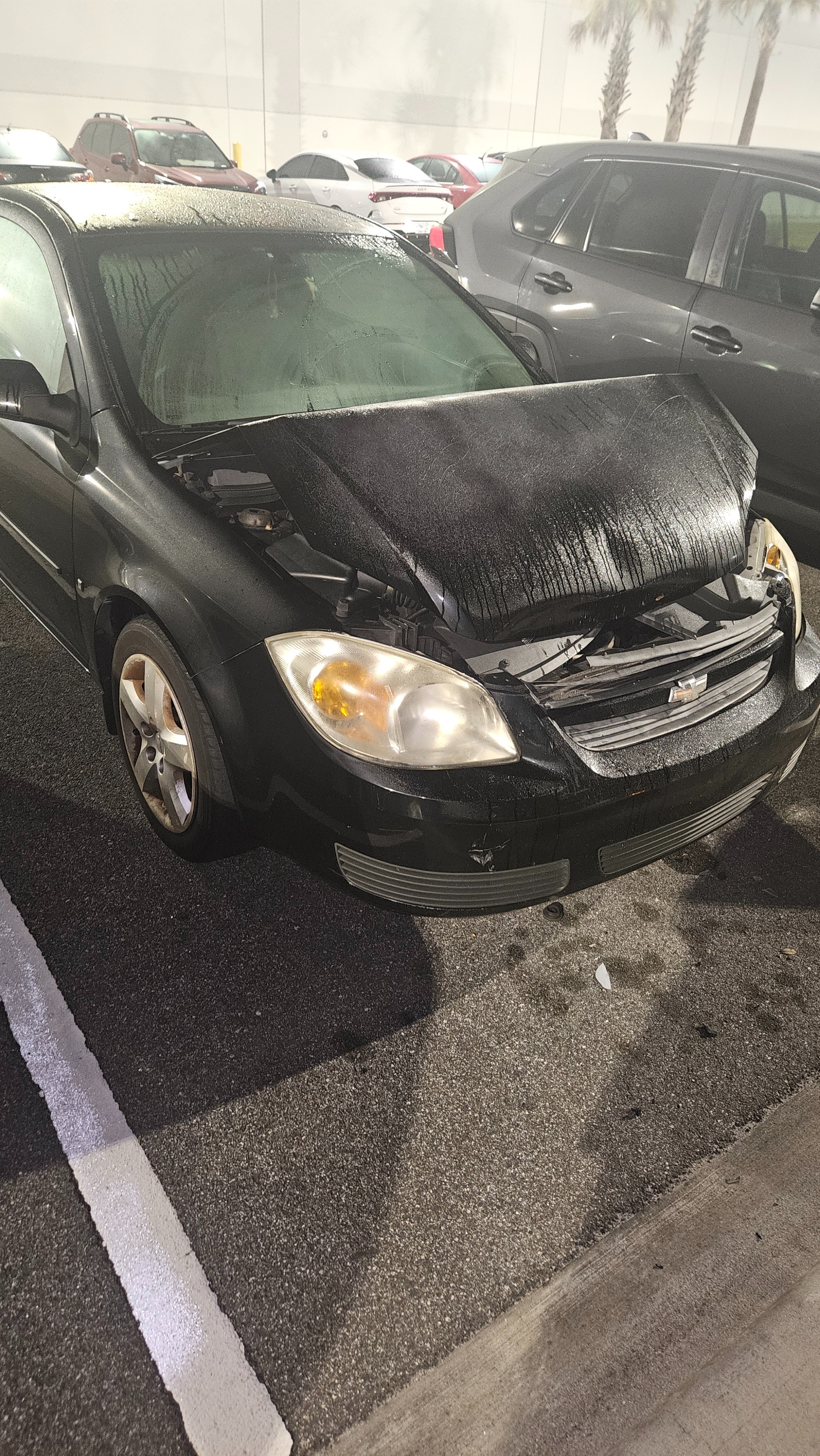 Help Dani Repair Her Beloved Car, Henry campaign photo, 4 of 5