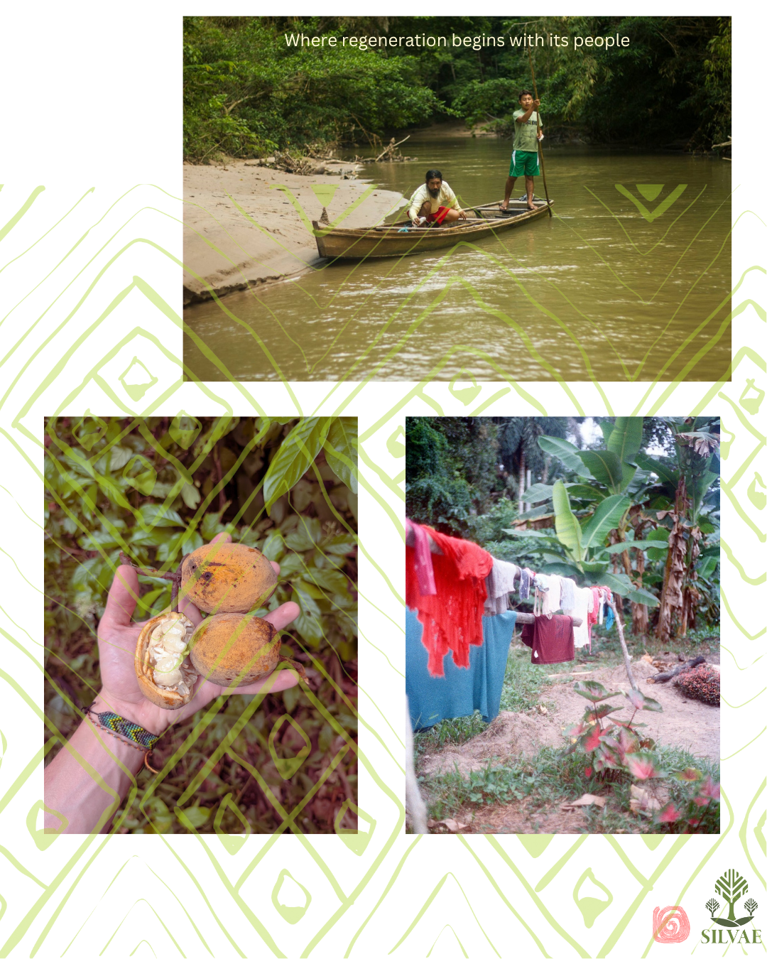 Support Huni Kuin landback movement in Jordão- campaign photo, 7 of 8