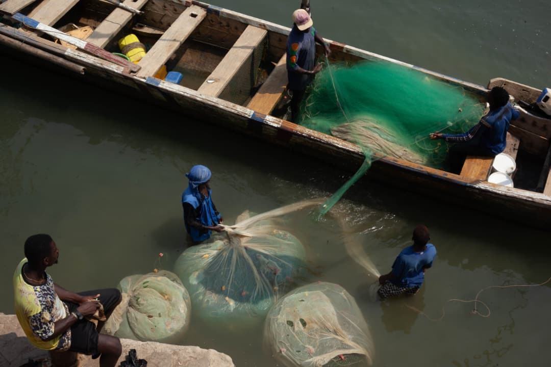 Help Fund a Research Documentary on Plastic Fishing Nets campaign photo, 4 of 7