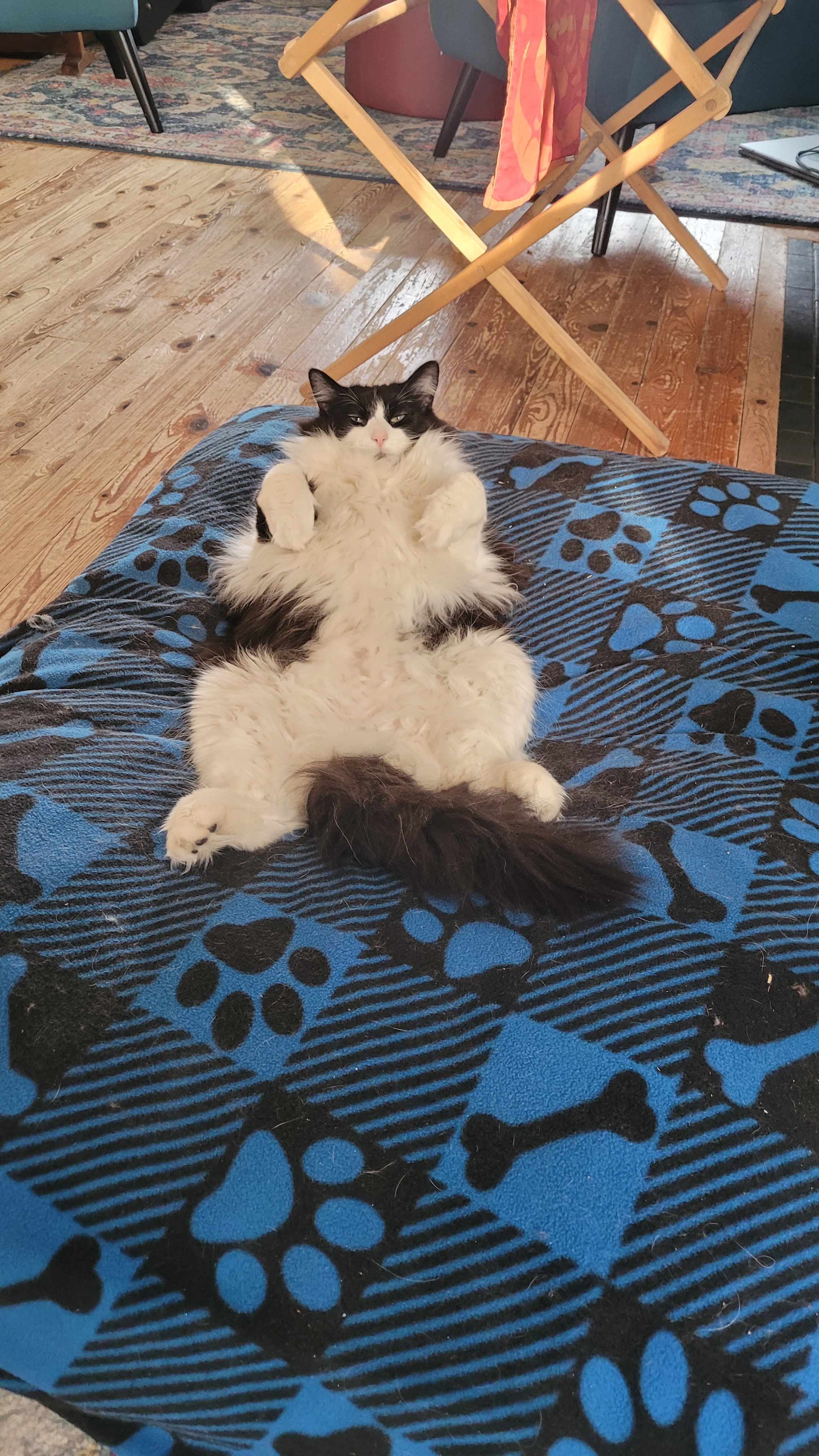Help support expenses for Tobio's surgery campaign photo, 6 of 7