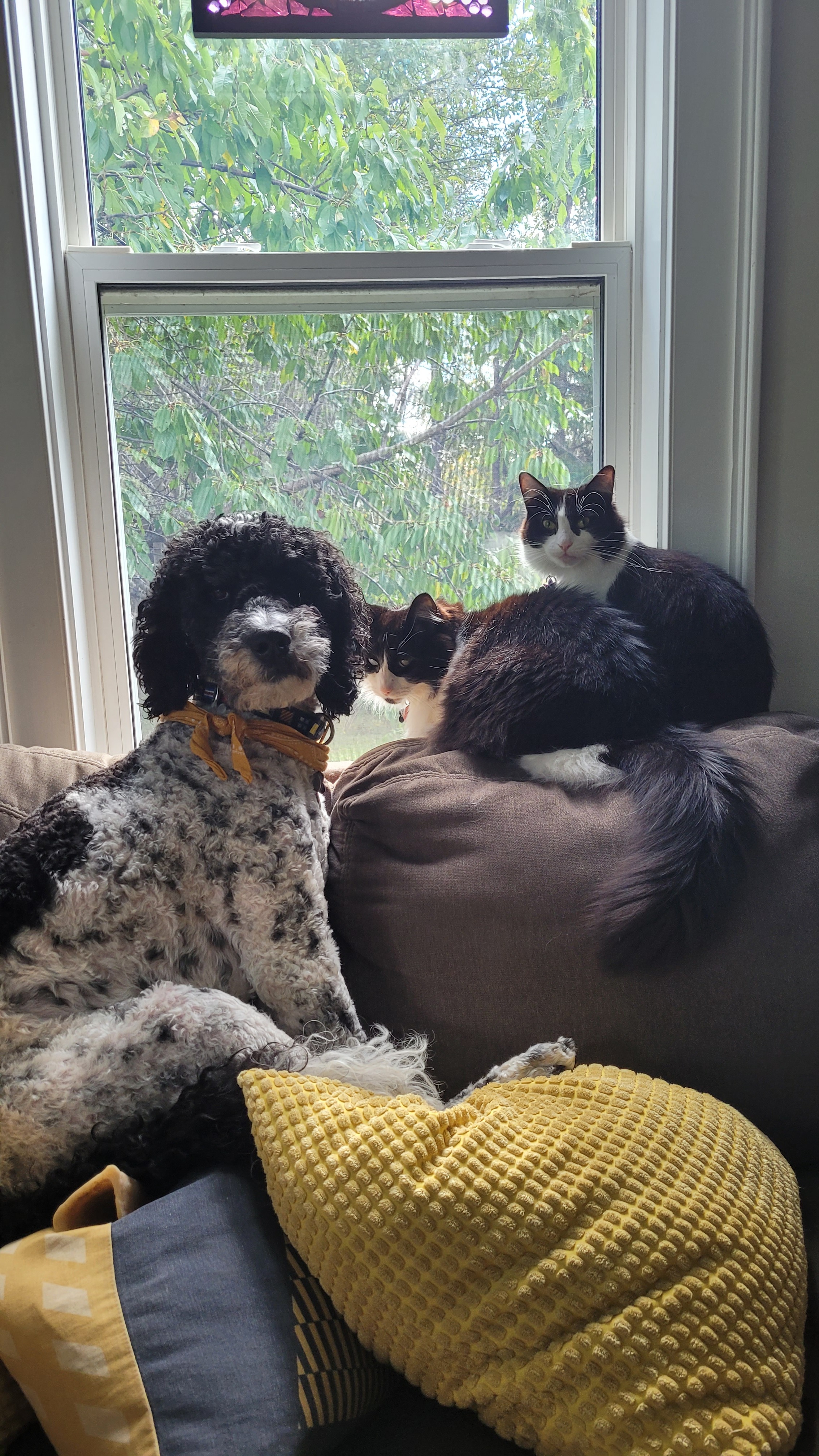 Help support expenses for Tobio's surgery campaign photo, 2 of 7