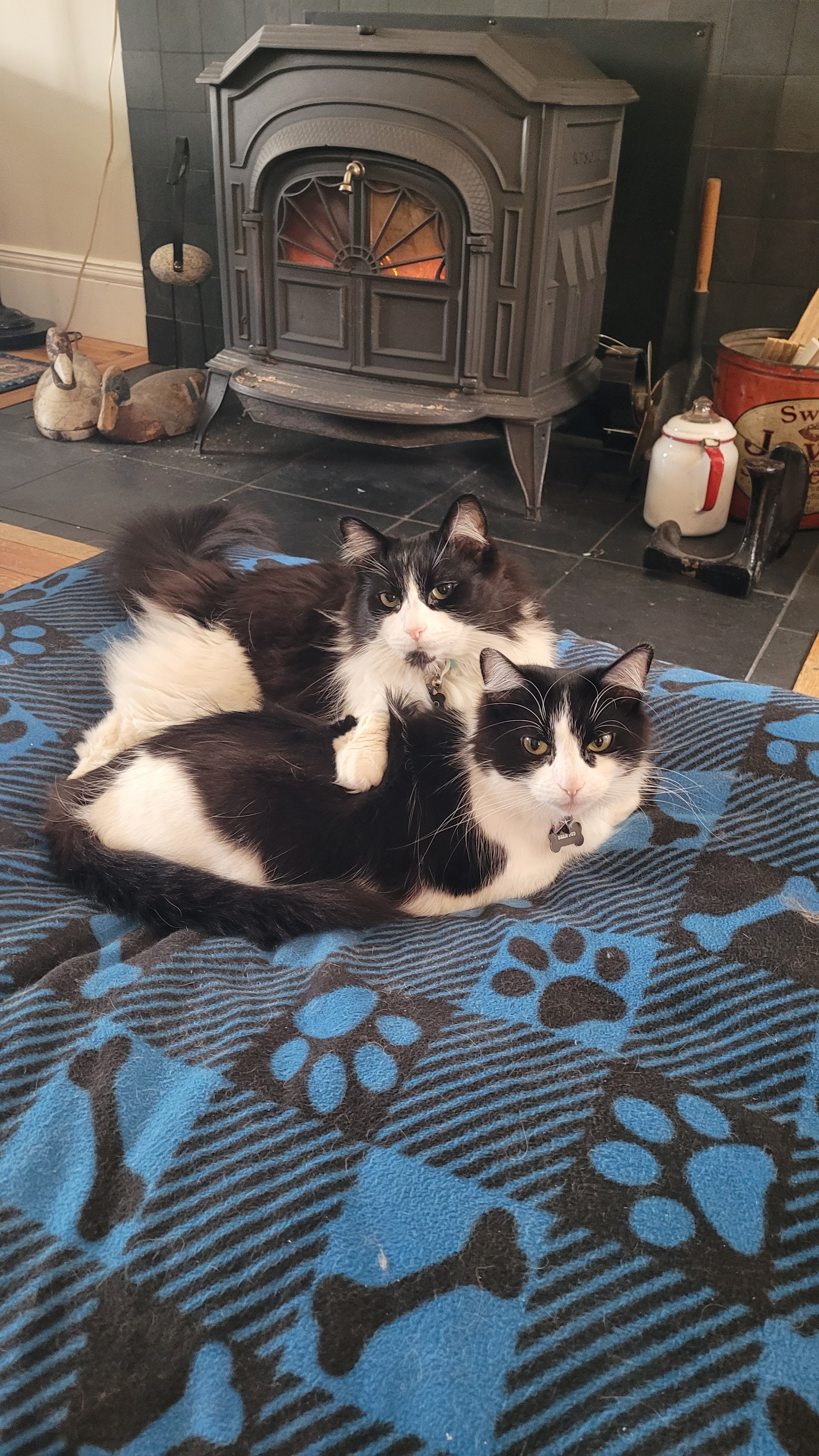 Help support expenses for Tobio's surgery campaign photo, 4 of 7