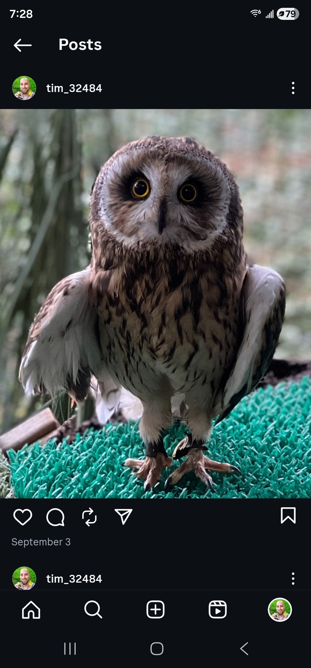 Stop Unnecessary Euthanasia: Help Our Wildlife Quarantine campaign photo, 6 of 8