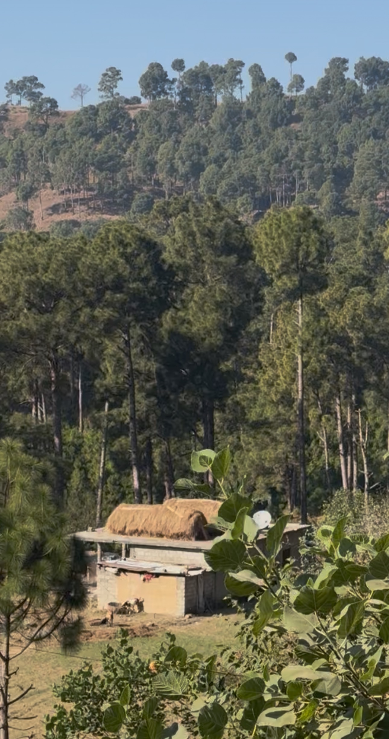 Help families in need - rural areas of Azad Jammu Kashmir campaign photo, 2 of 4