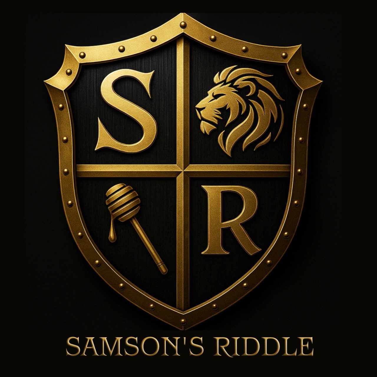 Help Samson's Riddle Share Hope on Tour campaign photo, 7 of 8