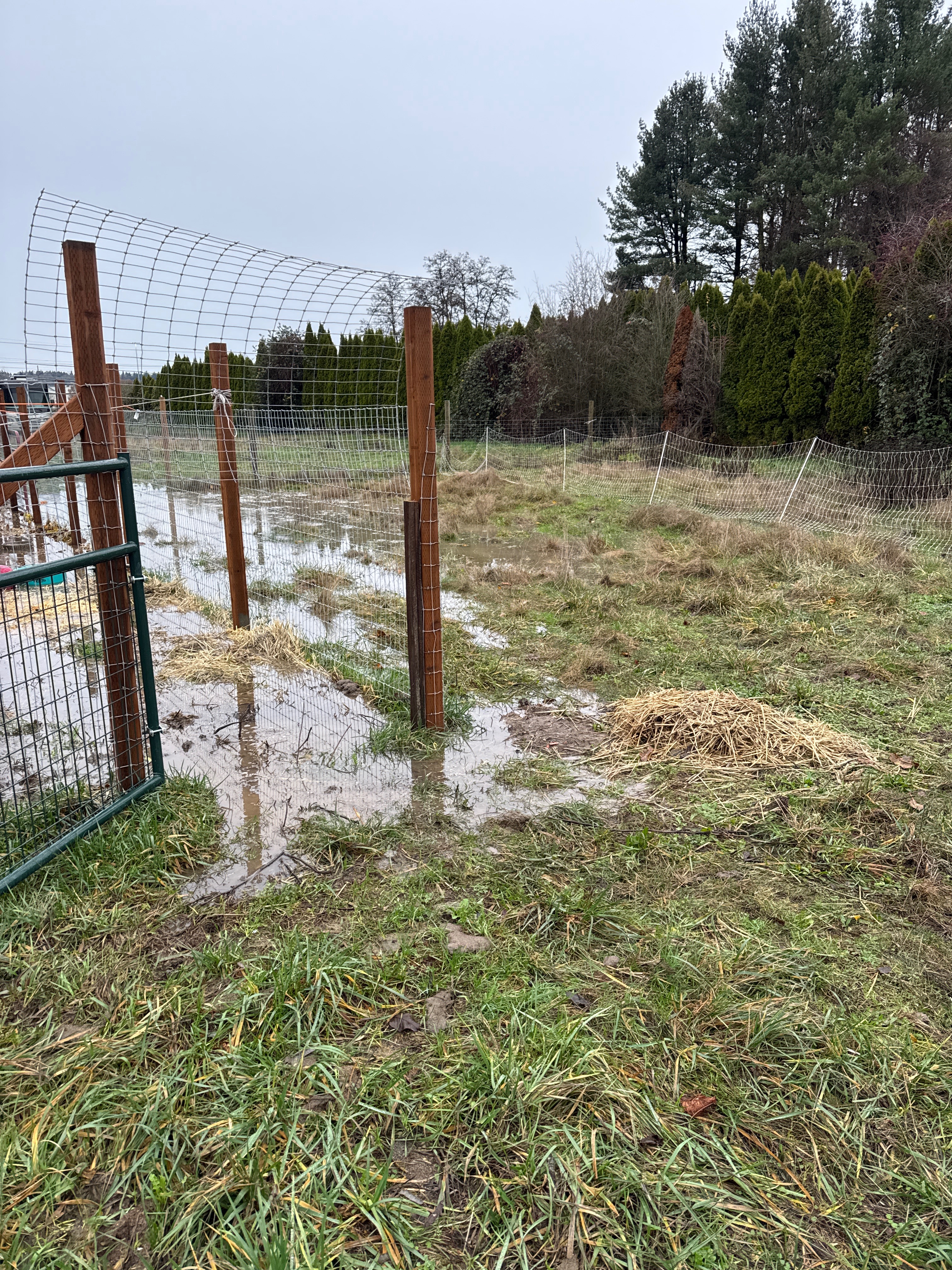 Support for Our Flood Recovery Journey campaign photo, 2 of 6