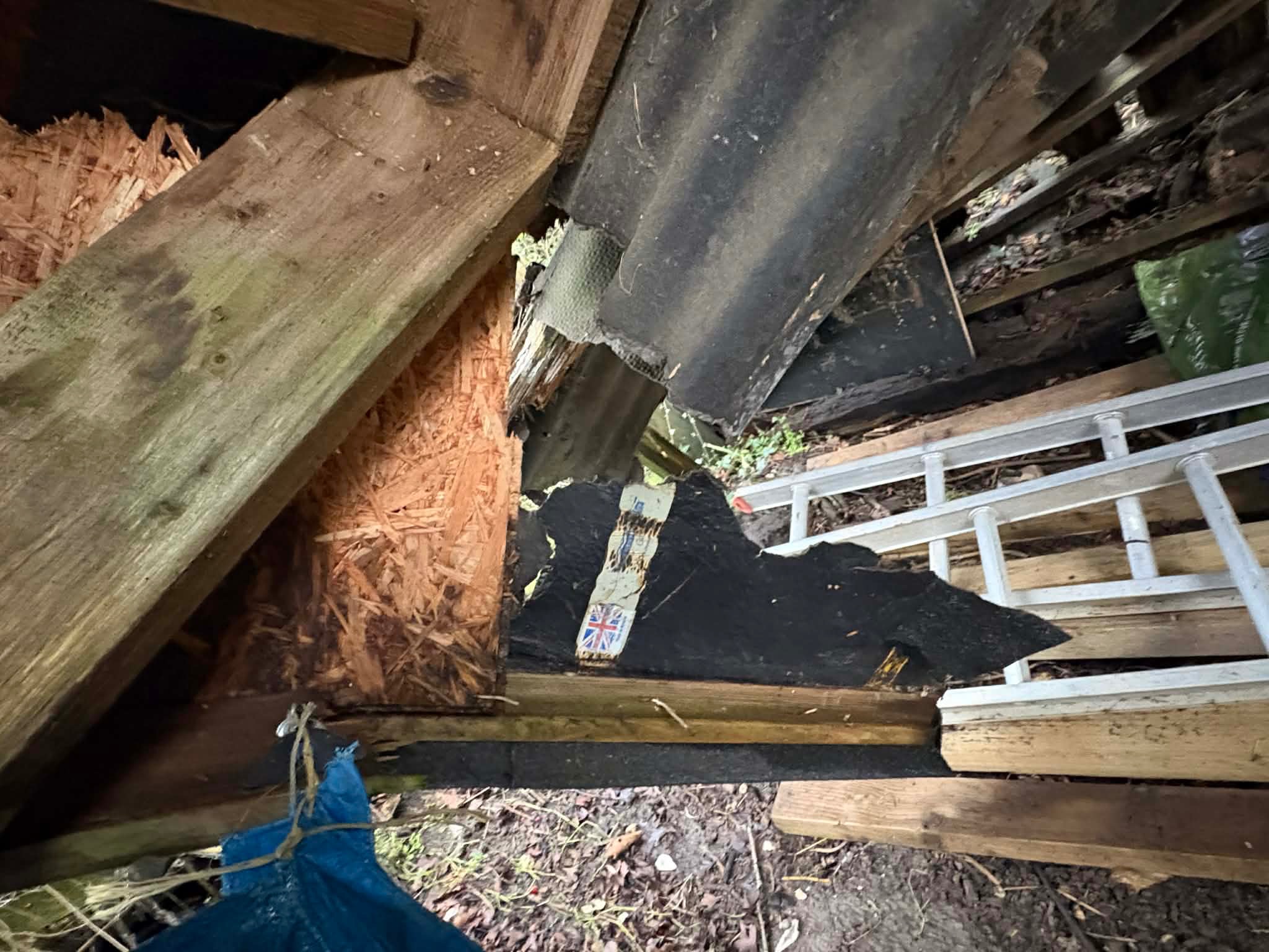 Help Build a Barn campaign photo, 4 of 8
