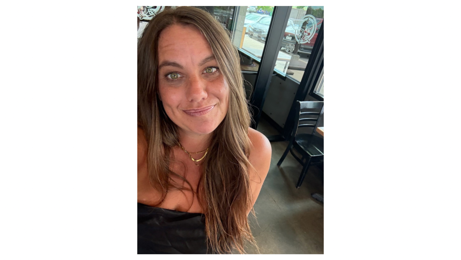 Help Stevie Heal and Return Home photo