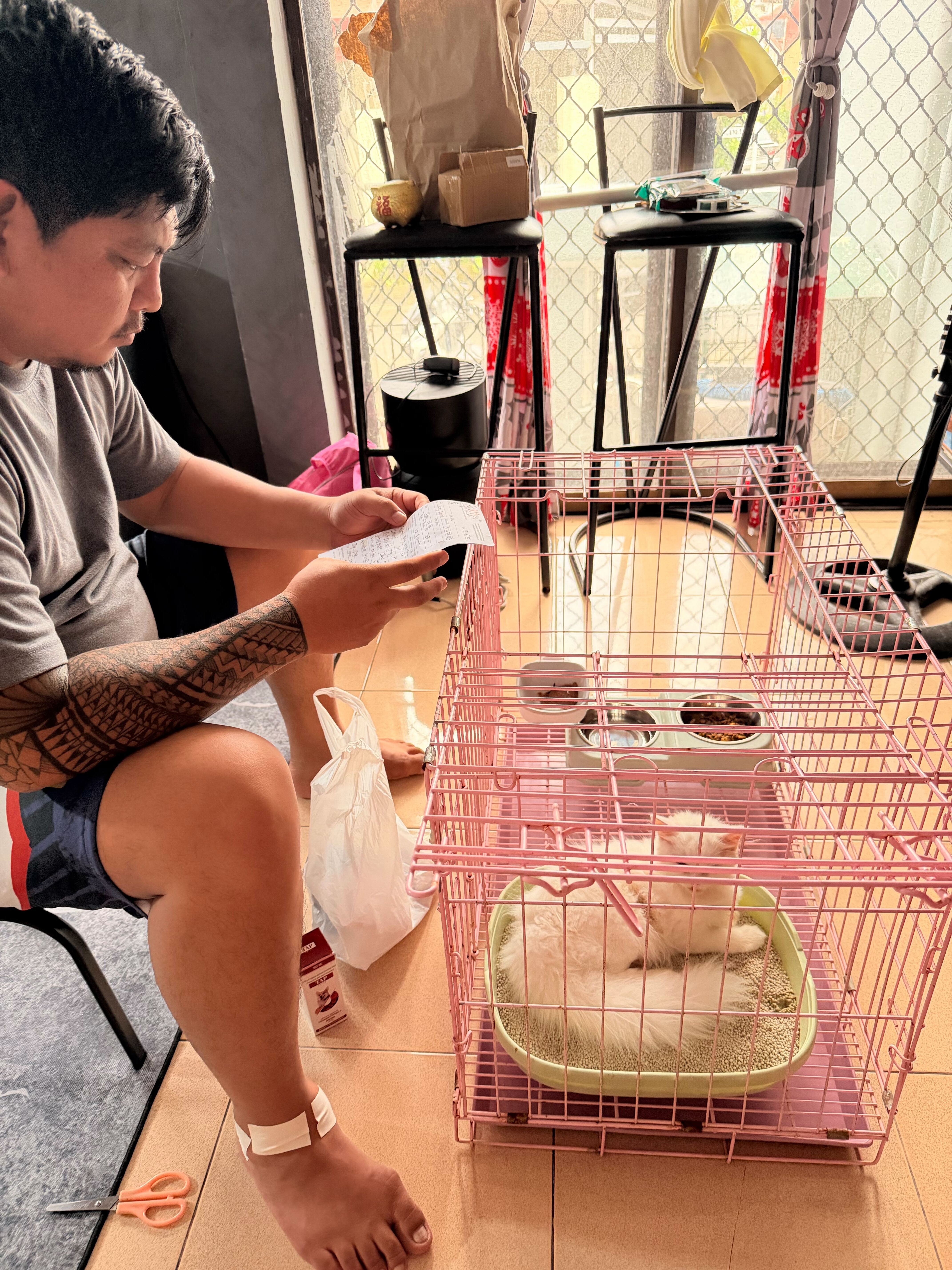 Help Ces Save Chimmy & Leo After Losing Tommy campaign photo, 5 of 7