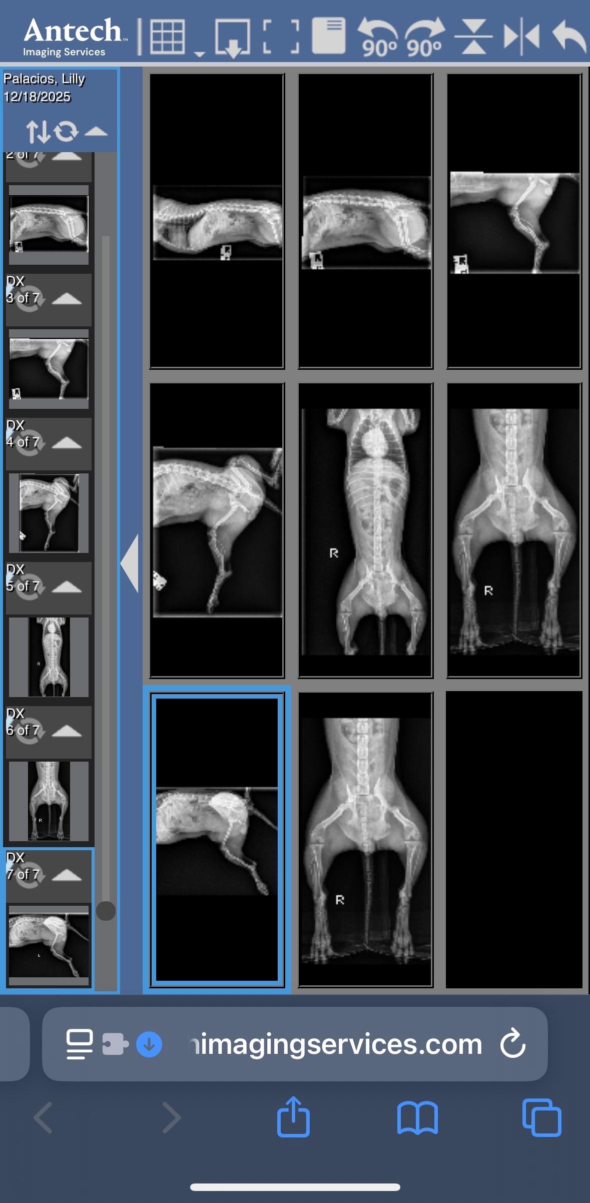 Help Lily Get Life-Saving Surgery campaign photo, 6 of 8