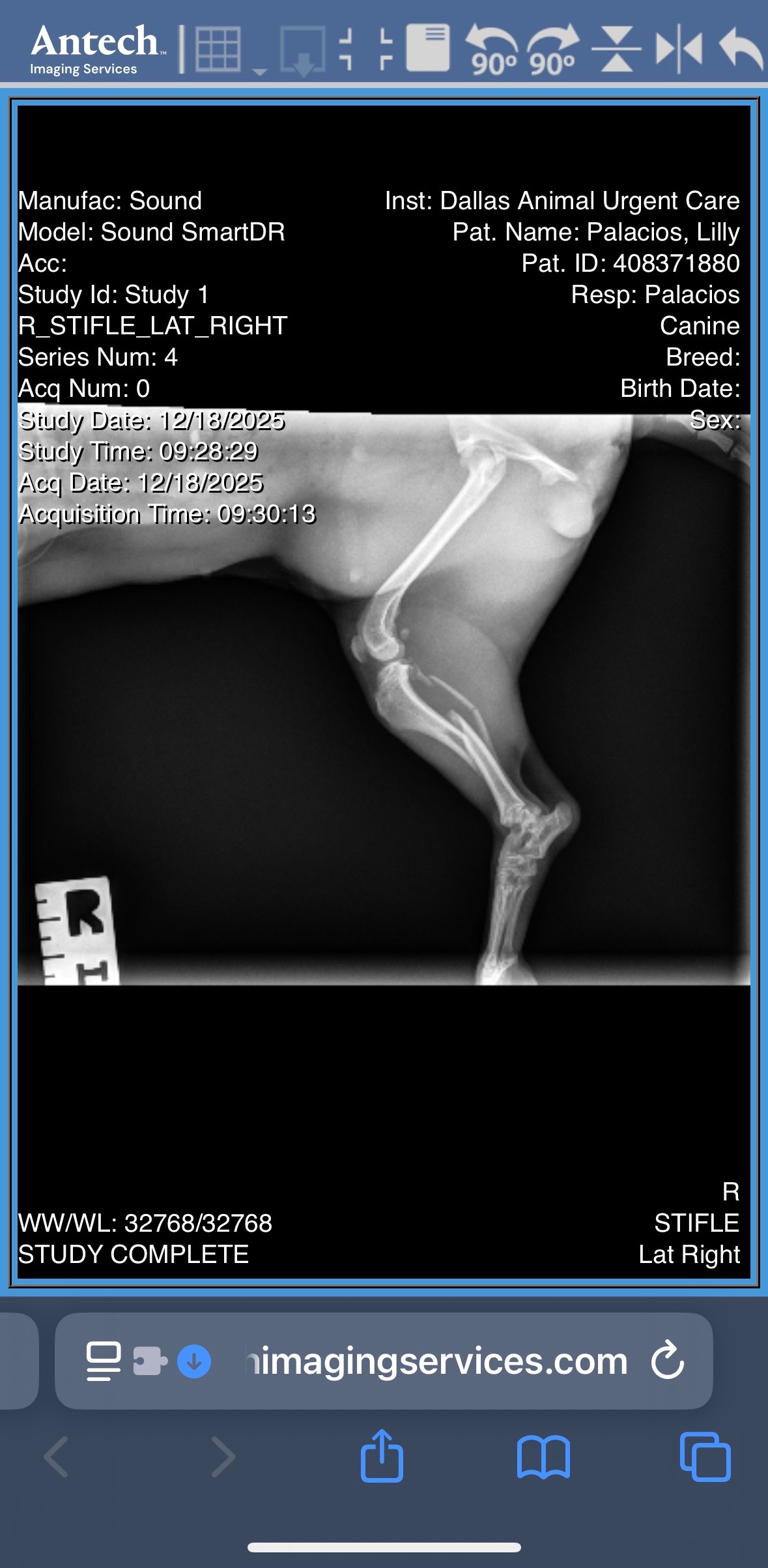 Help Lily Get Life-Saving Surgery campaign photo, 5 of 8
