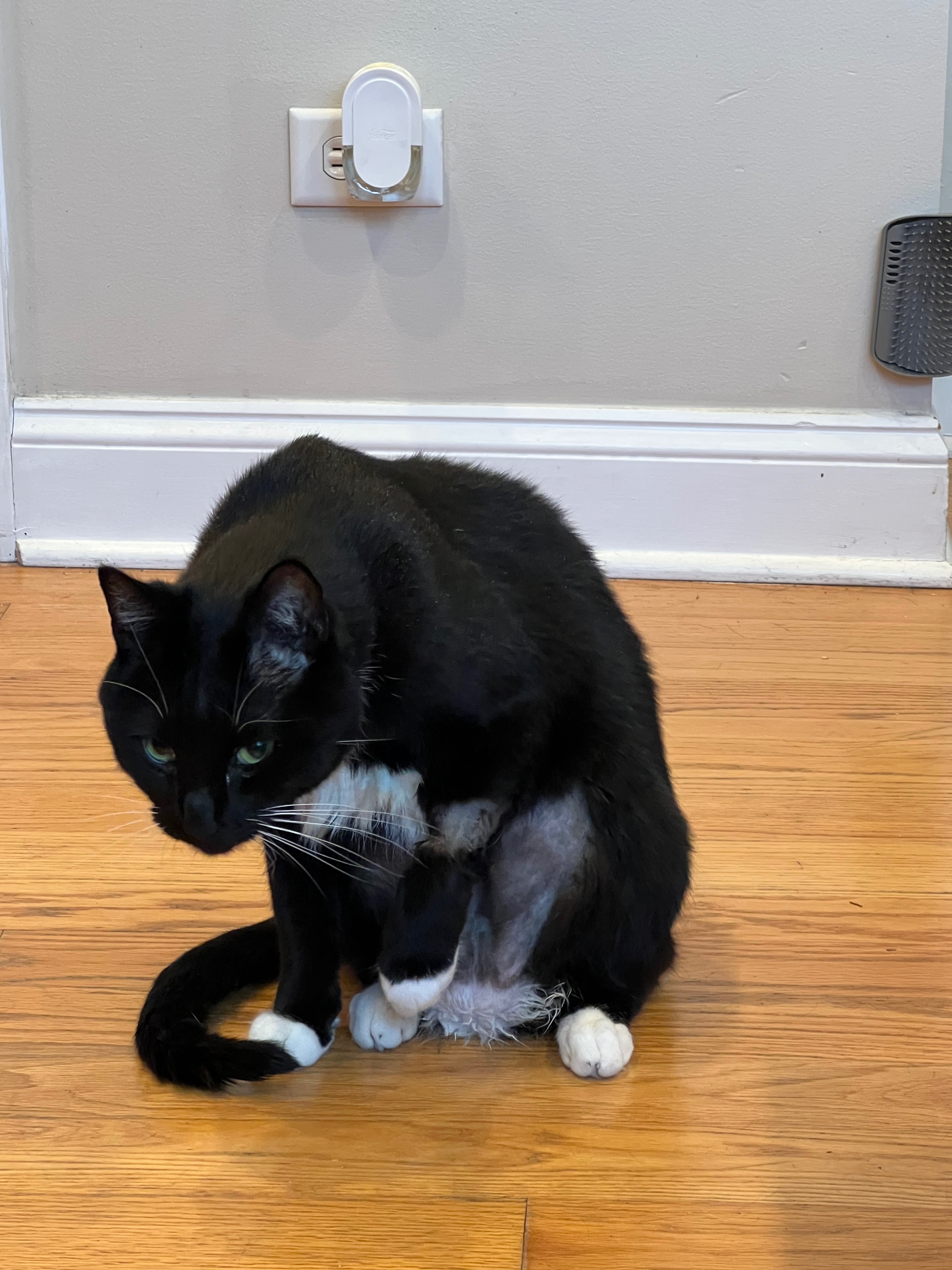 Cecil’s Emergency Medical Expenses campaign photo, 5 of 7
