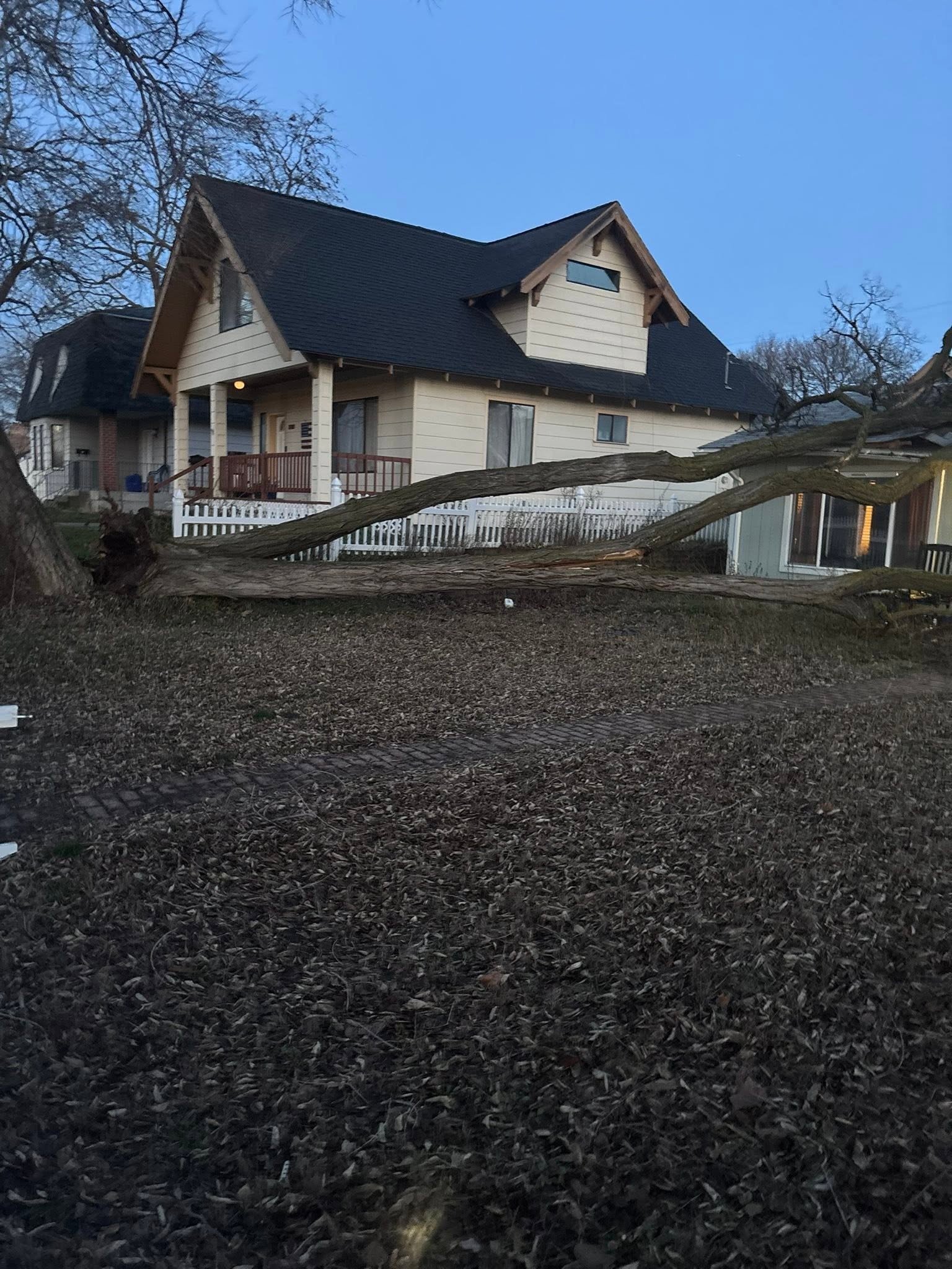 Help Gina Rebuild After the Wind Storm campaign photo, 2 of 8