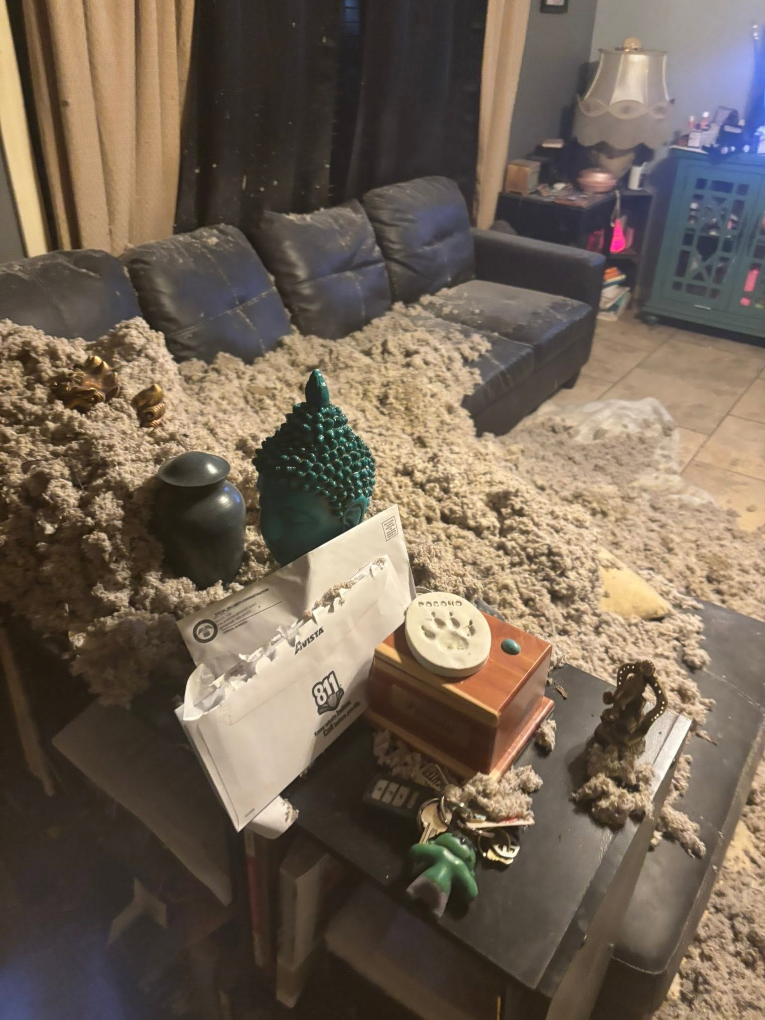 Help Gina Rebuild After the Wind Storm campaign photo, 6 of 8