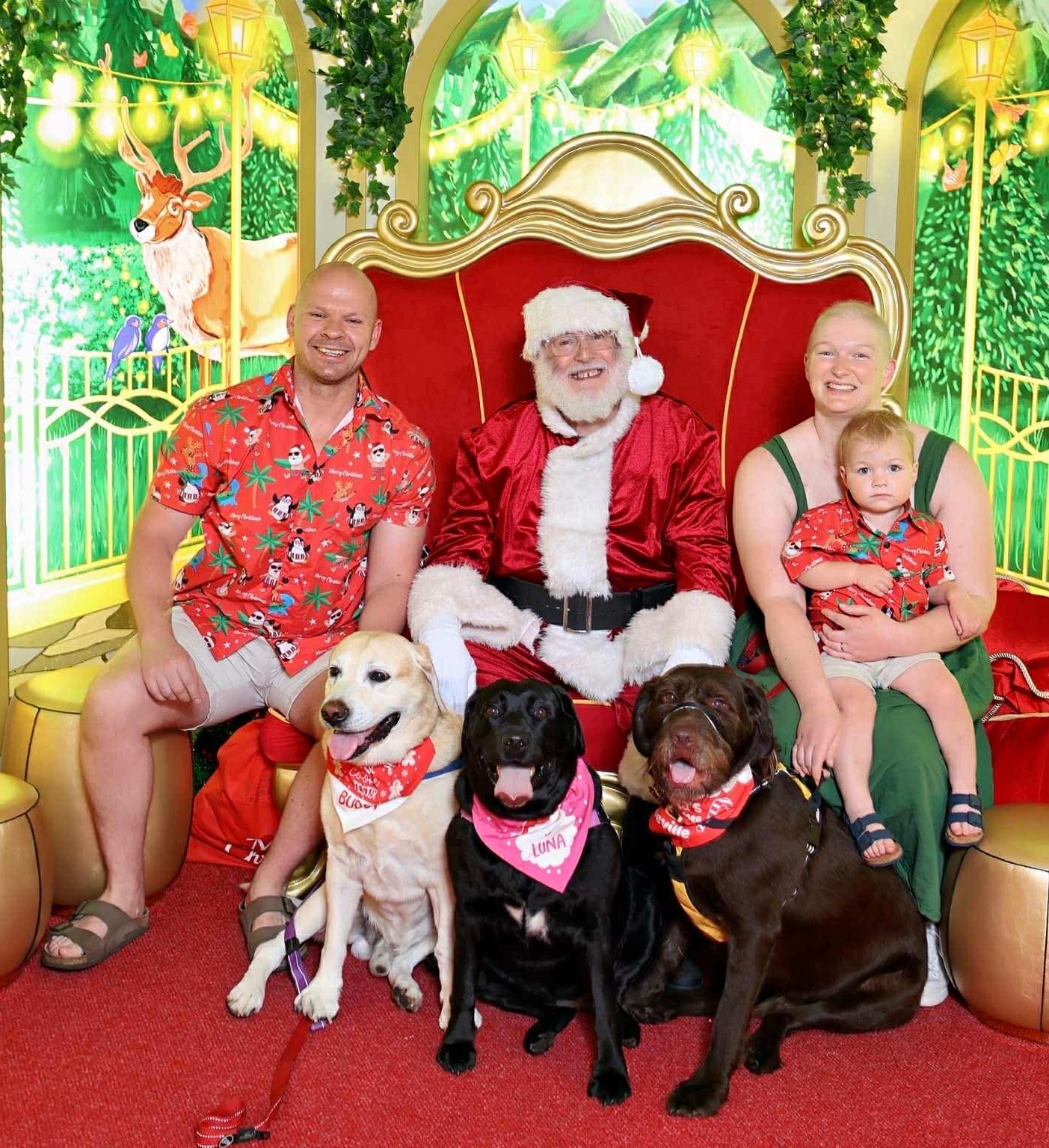 Pls help Becky, Nathan and Freddie campaign photo, 5 of 8