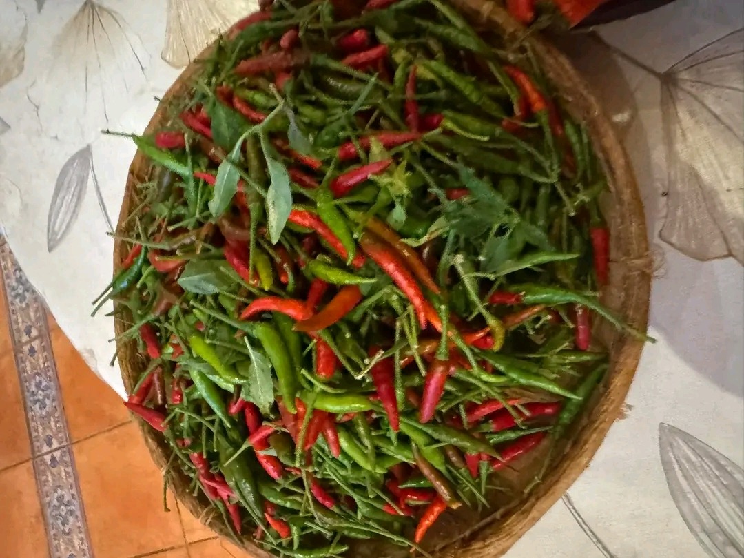 Soutenez l'agro-business de piments & haricots campaign photo, 2 of 6