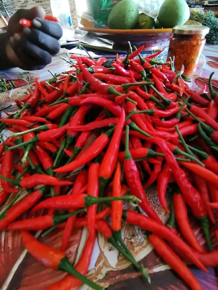 Soutenez l'agro-business de piments & haricots campaign photo, 4 of 6