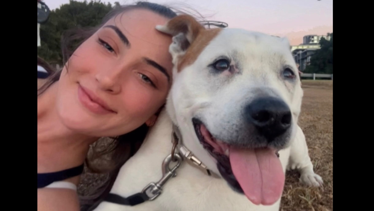 Urgent Life Saving Treatment for Casey!! photo