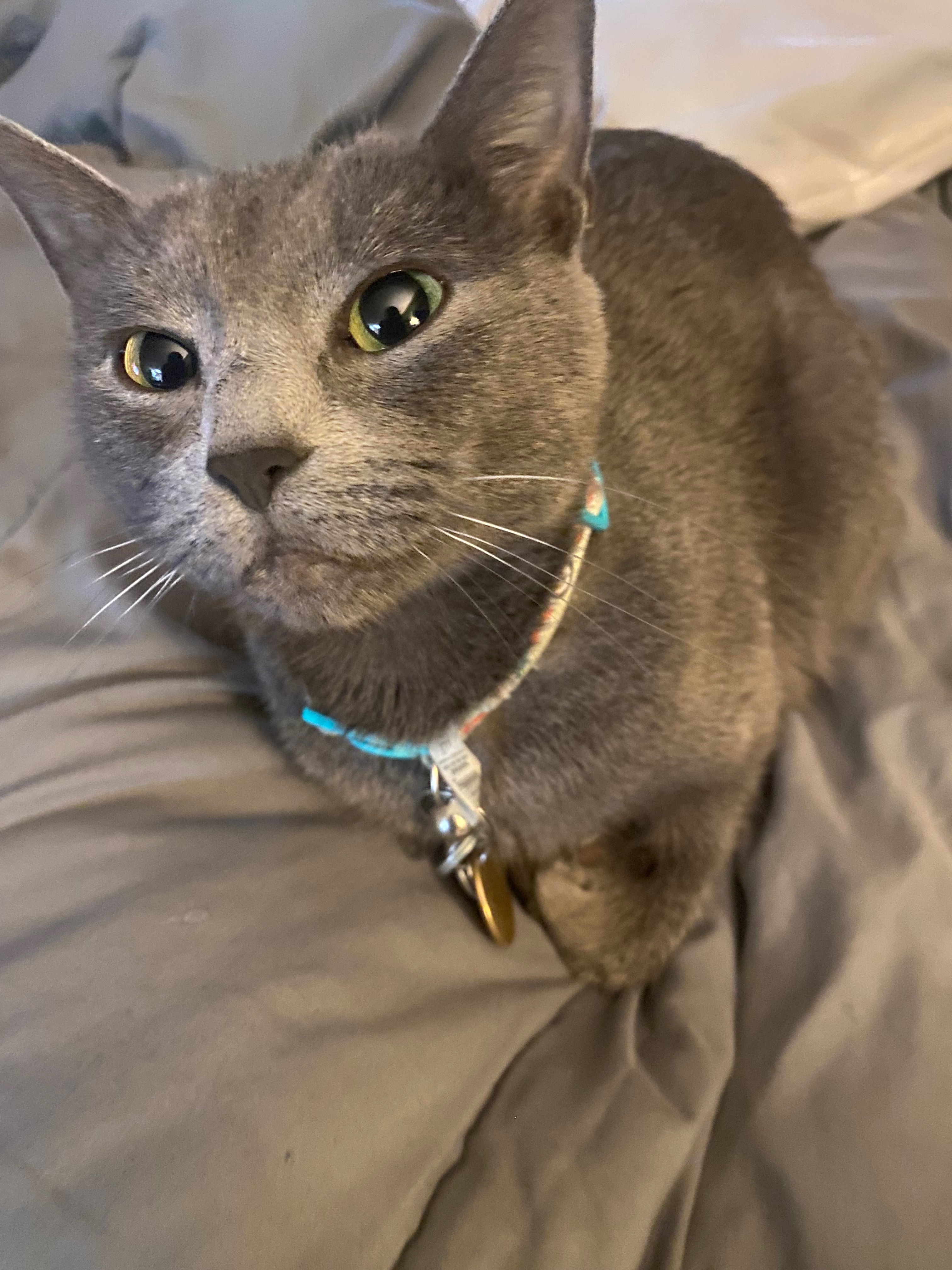 Help Misty Get the Medical Care She Needs campaign photo, 2 of 8