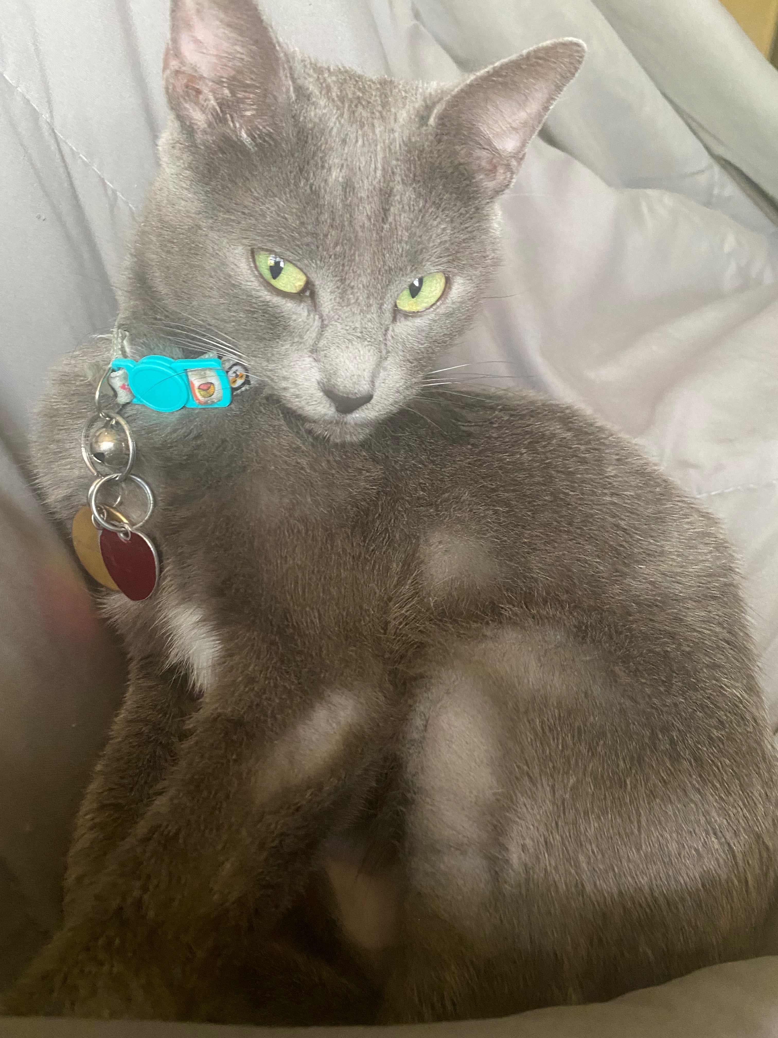 Help Misty Get the Medical Care She Needs campaign photo, 6 of 8
