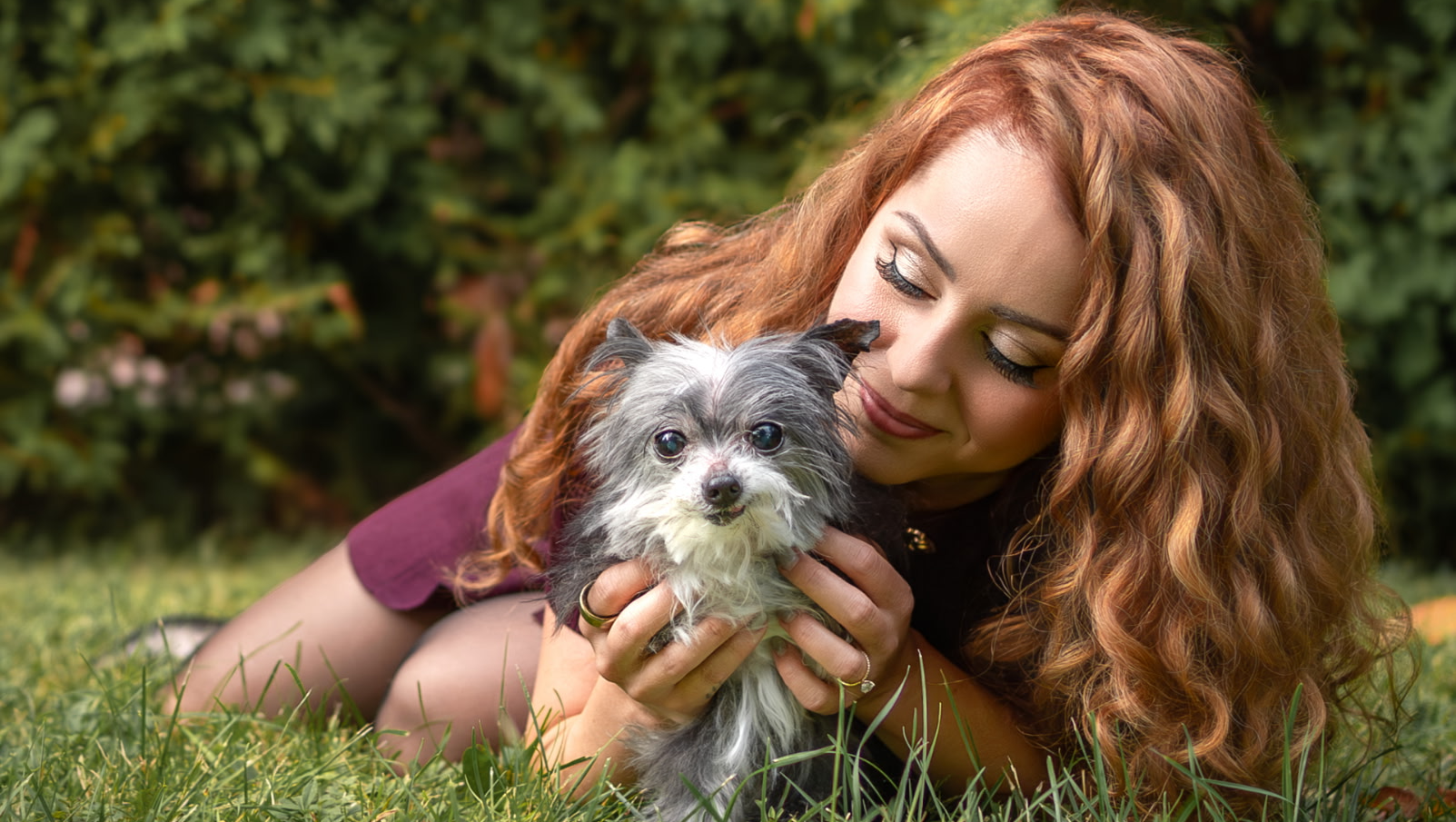 Help Us Launch 'Barely A Dog Rescue'