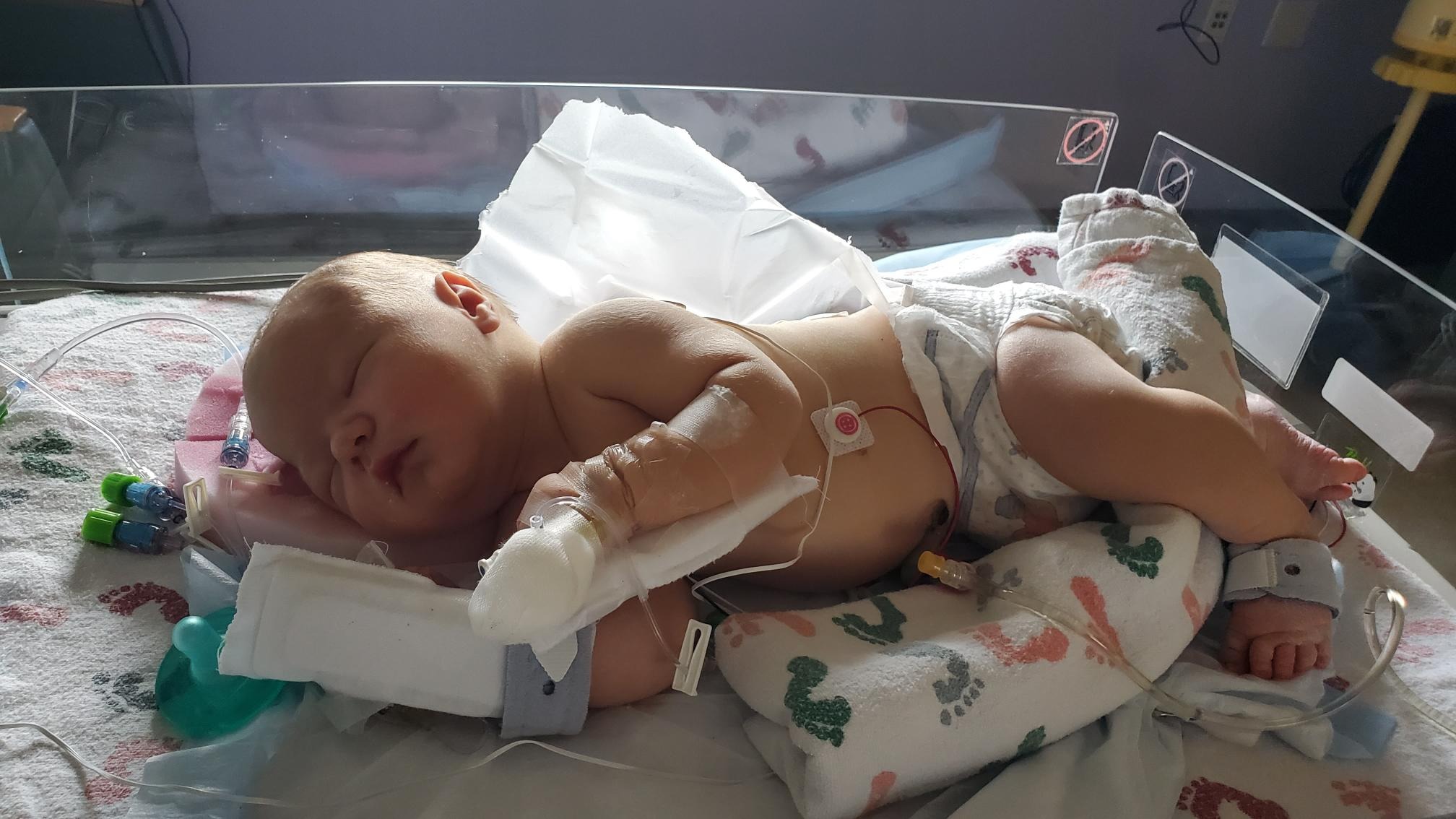 Support Baby Isaac and the Mcarron Family campaign photo, 5 of 8